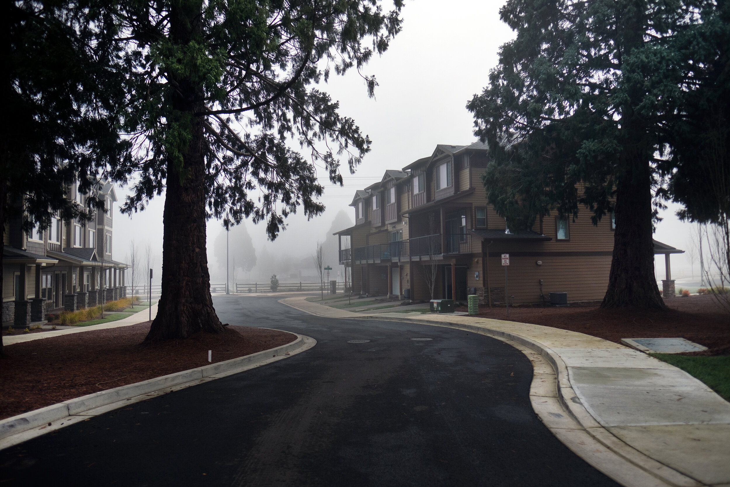 TheSequoias.jpg