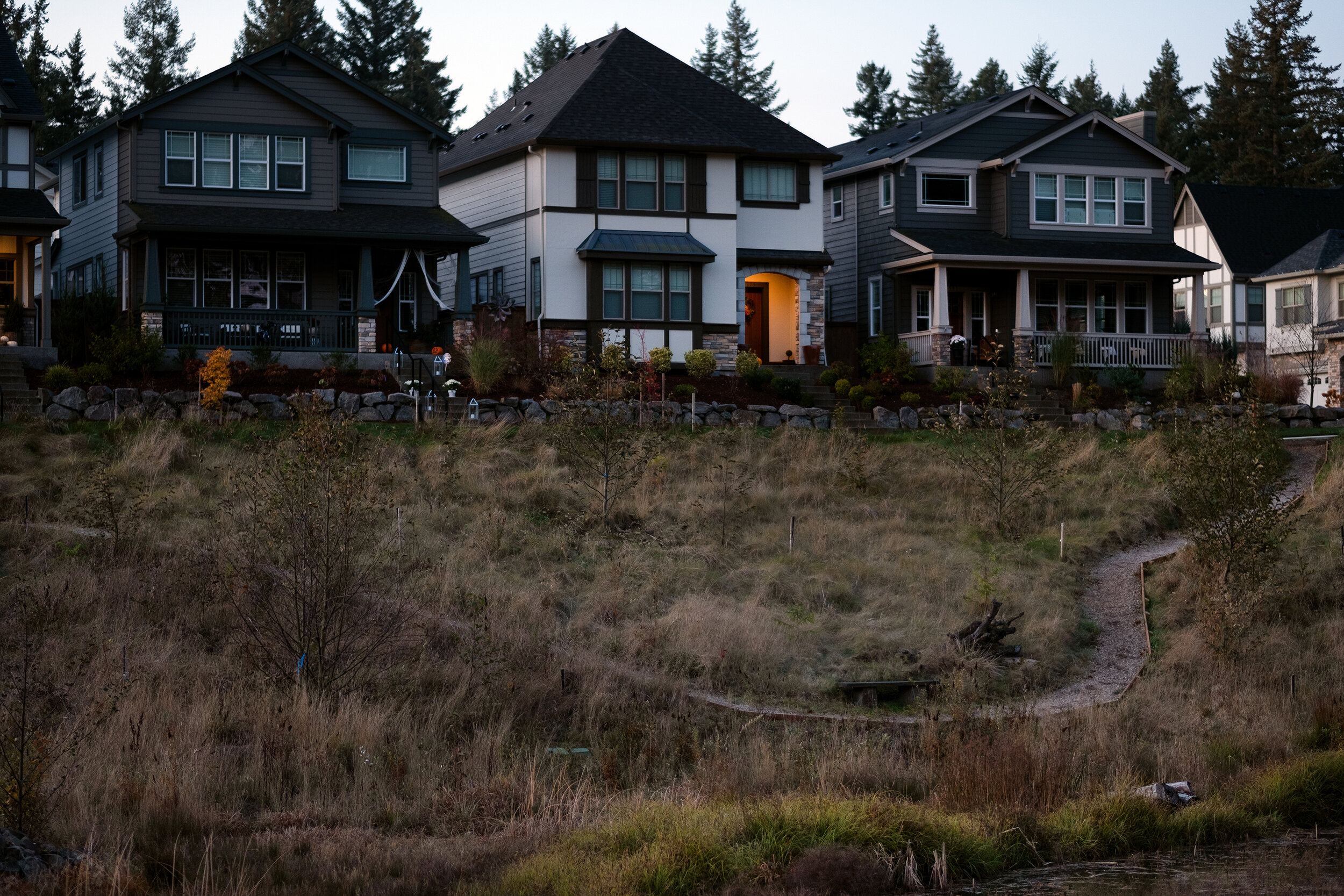 3HomesAboveTheWaterShed.jpg