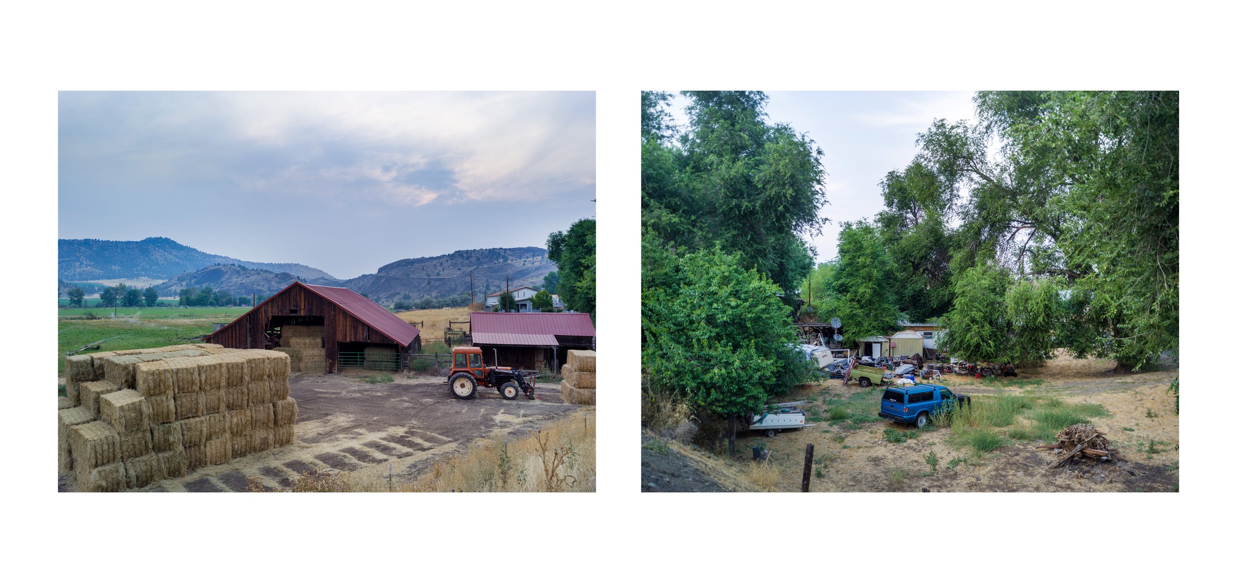 The Farm and the Neighbor