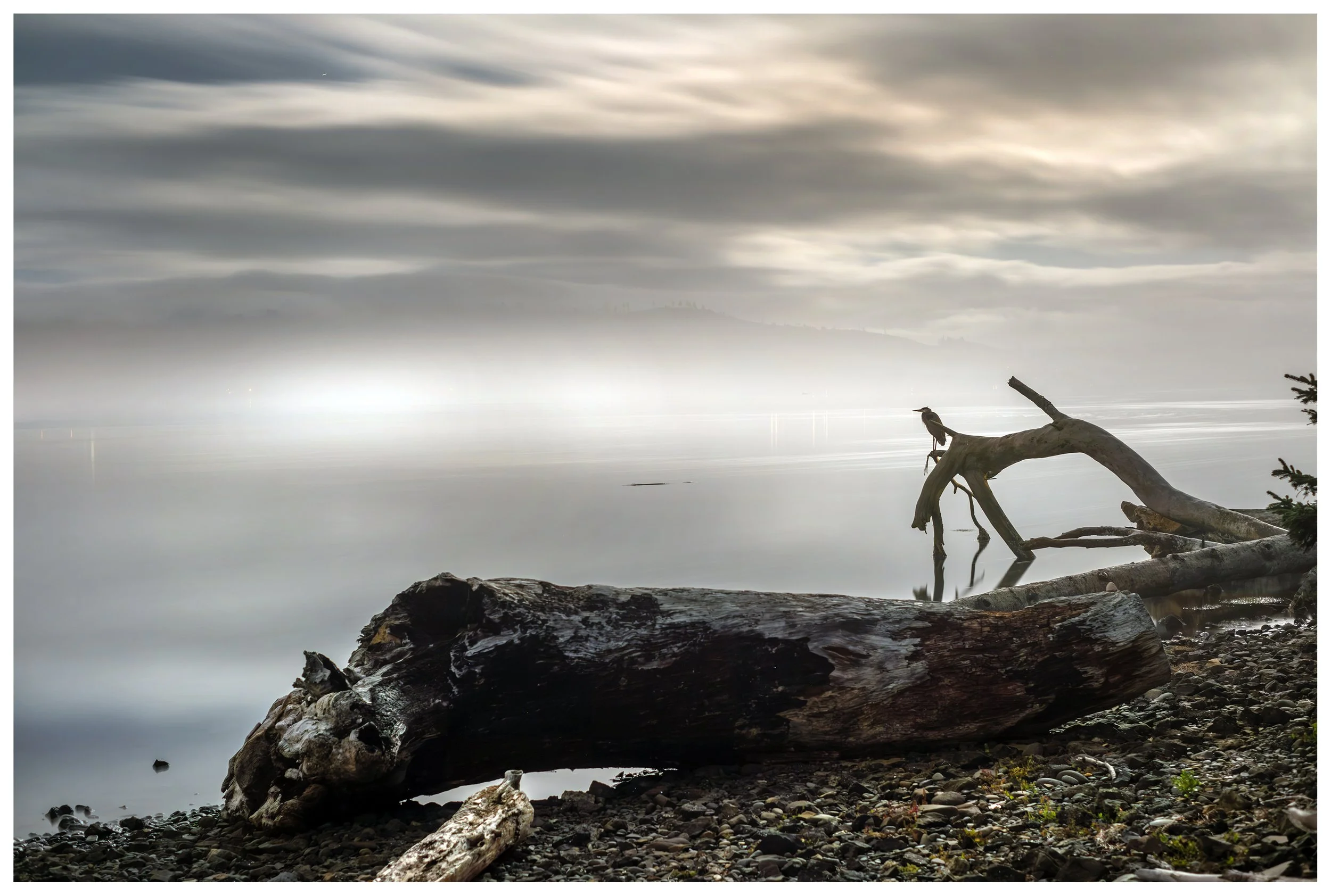 TheCrane_8x12.jpg