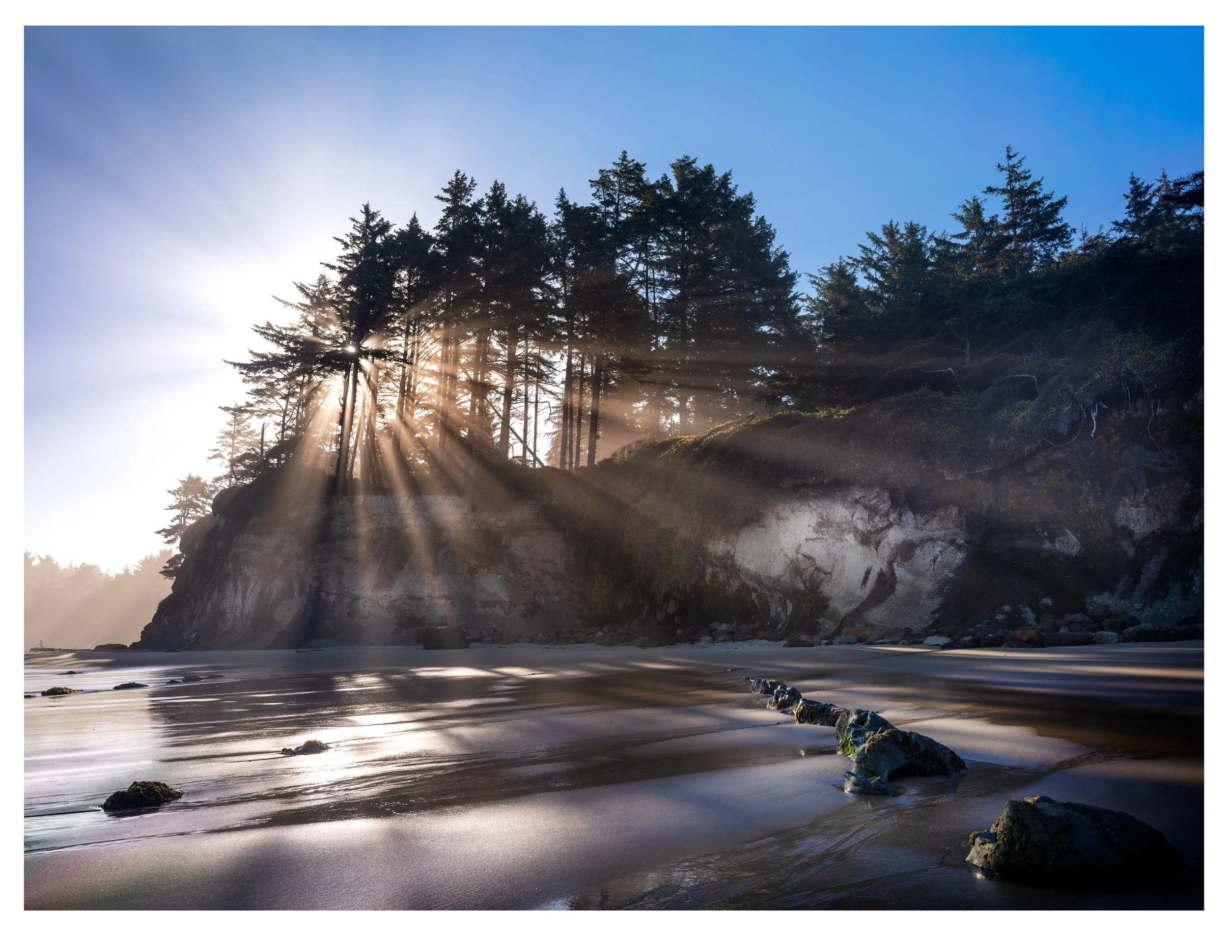 FogartyCreekSunbeams-Edit.jpg