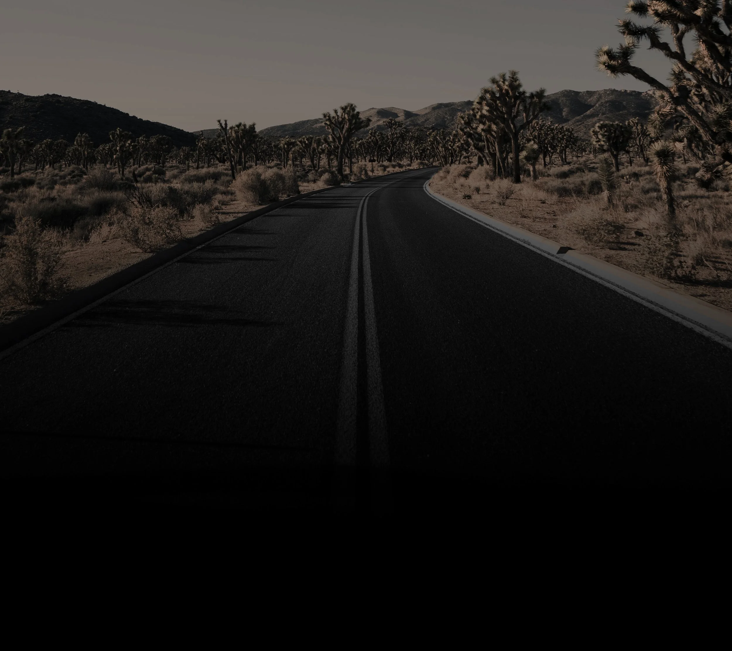 Backdrop.jpg