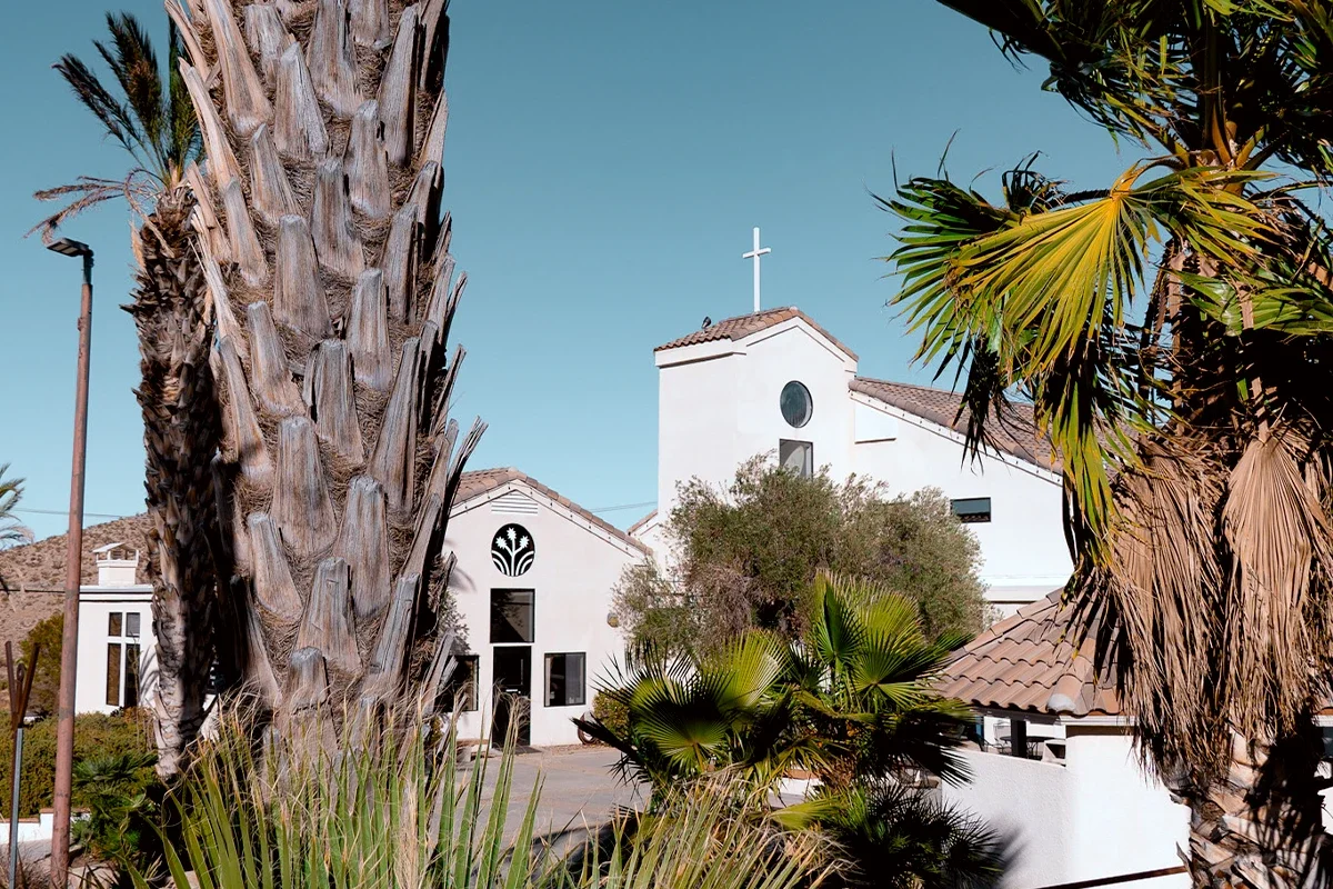 A white church with a cross on top, framed by palm trees in a sunny outdoor setting.