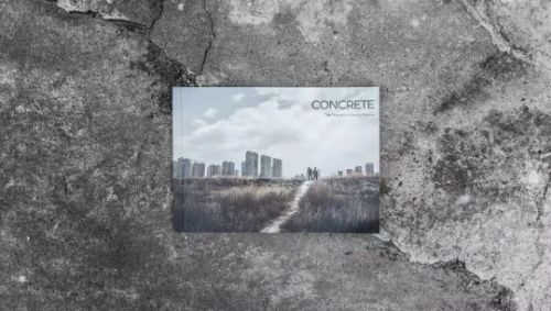 Special edition of TSLR, Concrete
