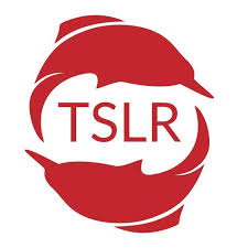 The Shanghai Literary Review logo