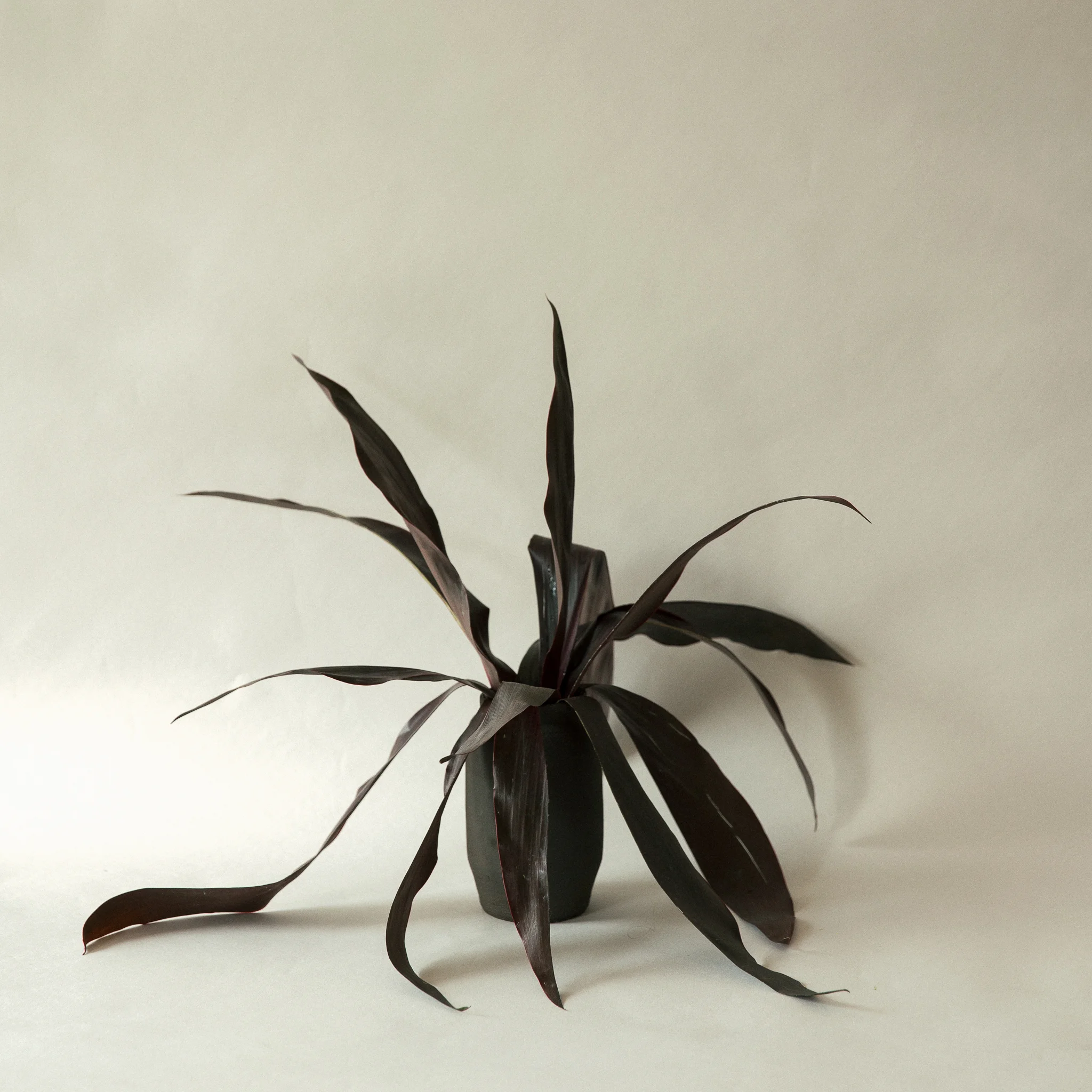 PhilippaLangley-Bikis Floral-0300.jpg