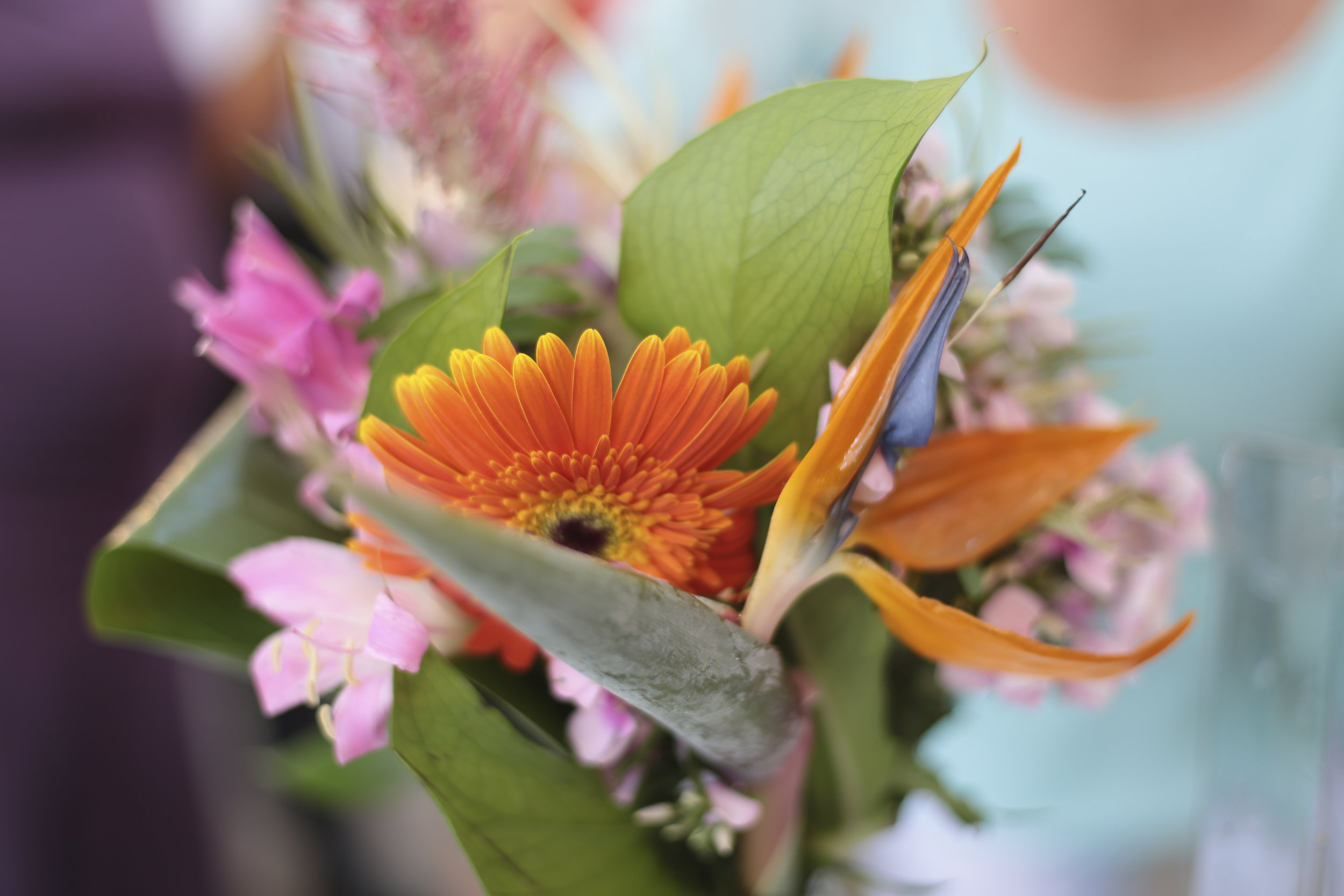 tropicana flowers.jpg