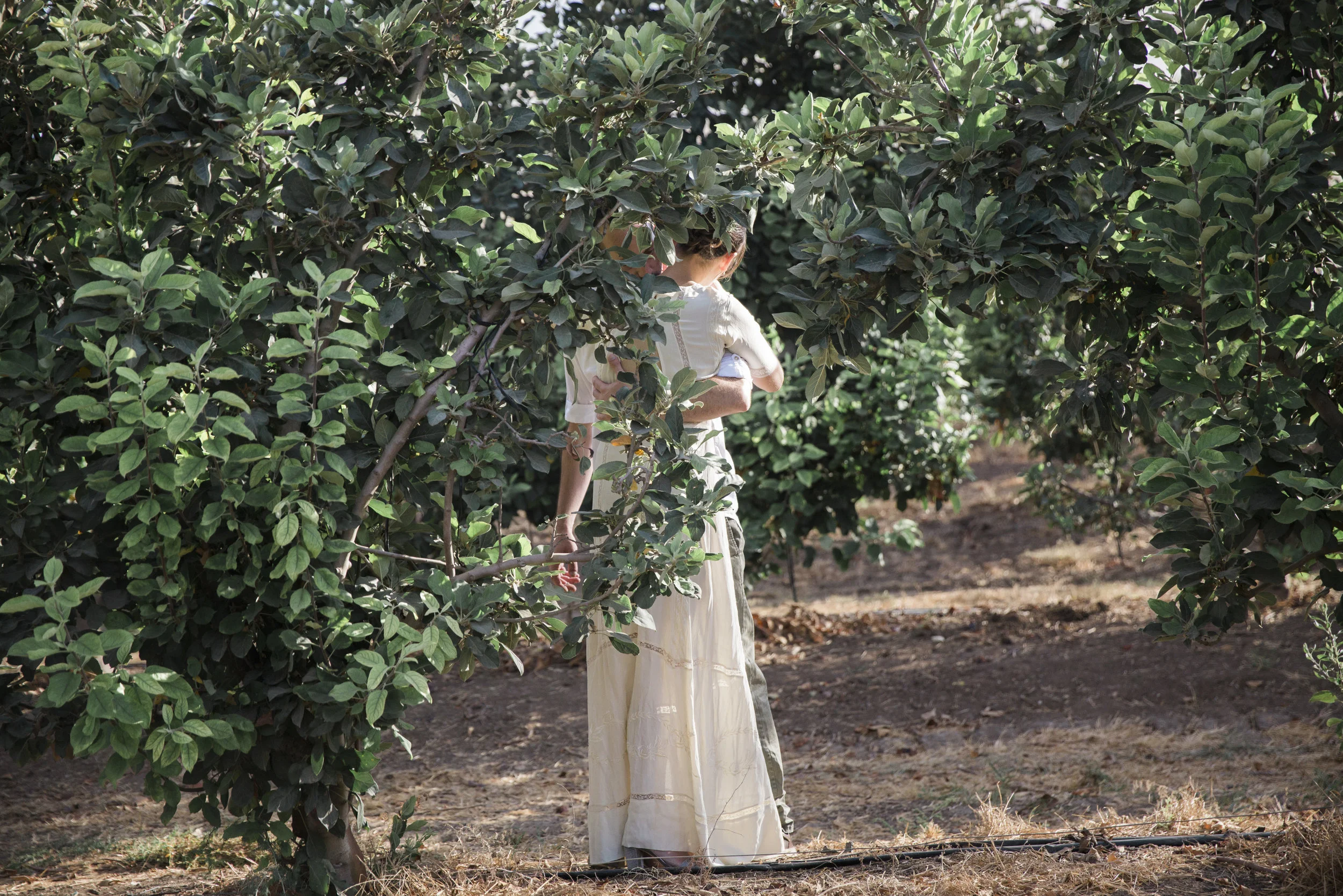 MATAN & ANAHID.jpg-180.jpg