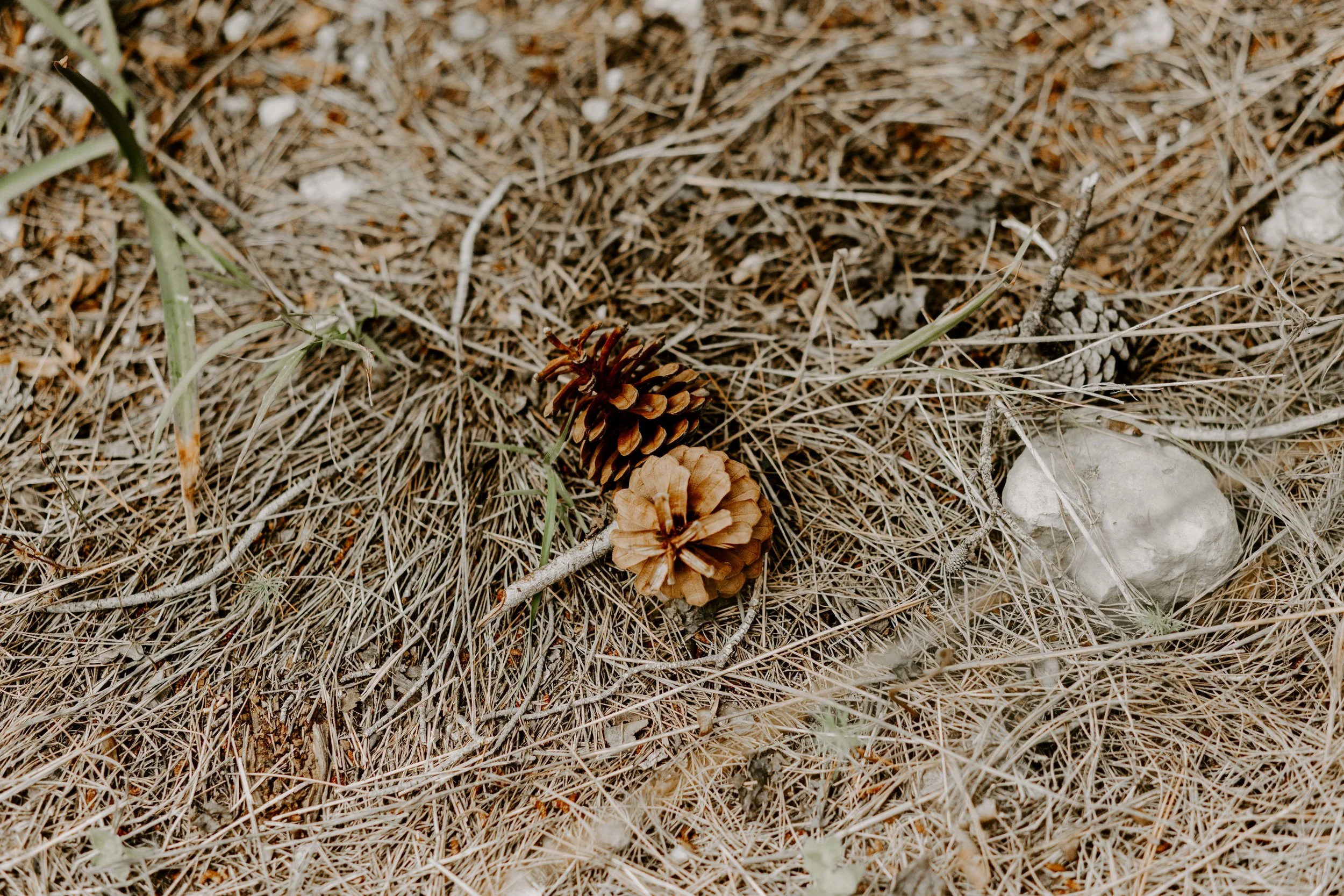 EYAL& MAAYAN-339.jpg