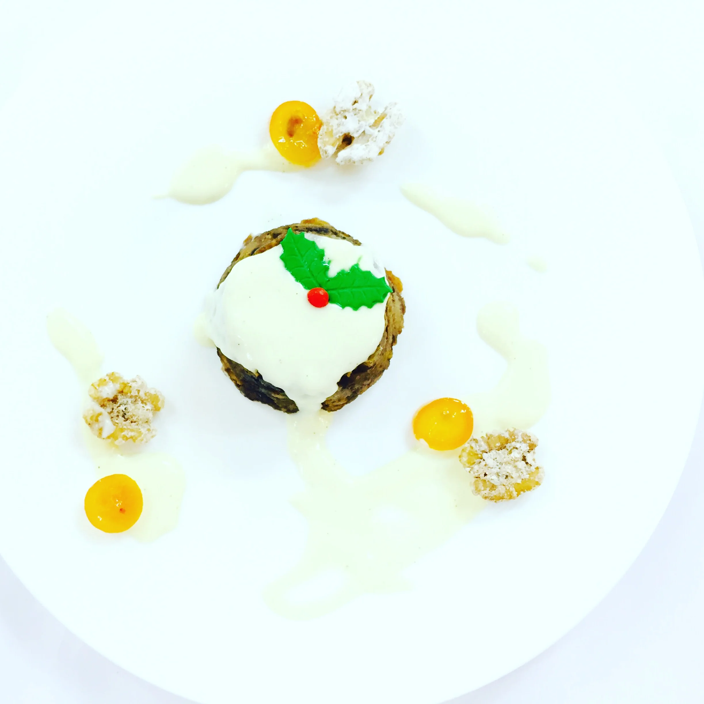 Christmas Festive Pudding