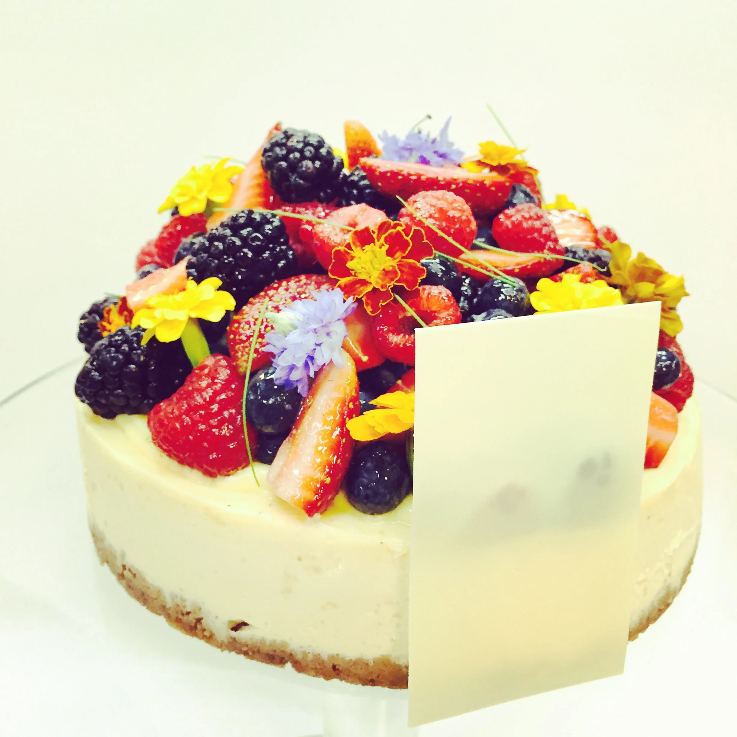 Exotic Fruit Cheesecake