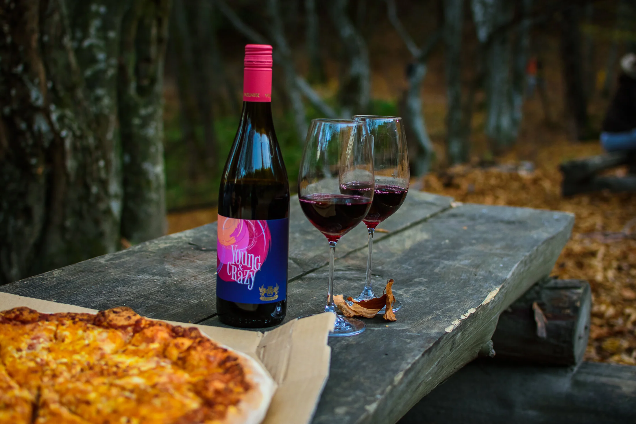 Разходка над Бистрица и пикник в гората