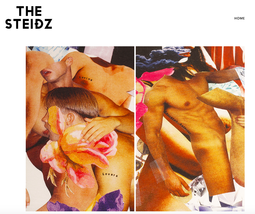 The Steidz