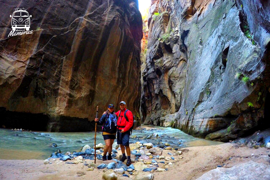 Zion National Park - 8 Paws 1 Tail