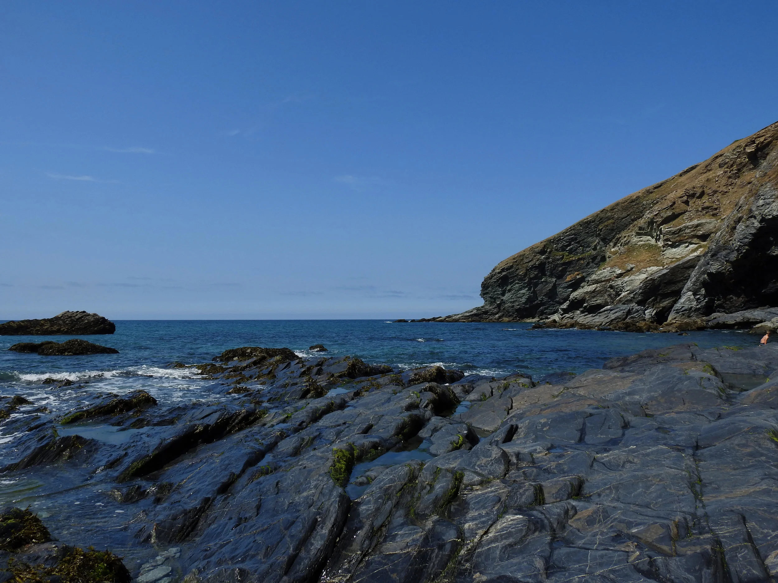 DSCN6526.jpg
