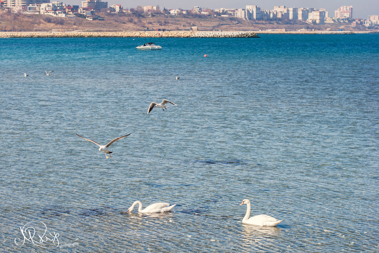 constanta_11.jpg