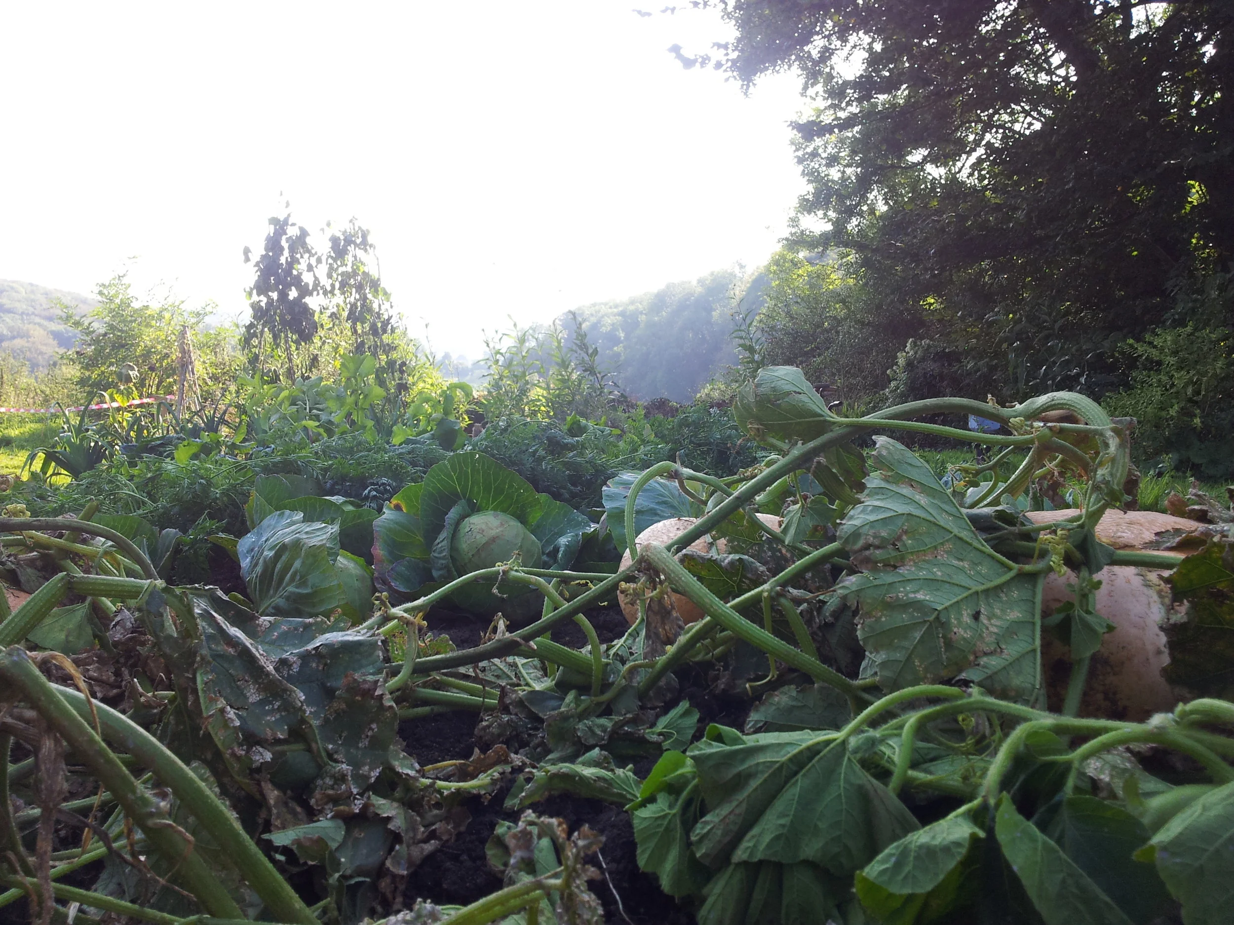 2014-09-22 15.53.49.jpg