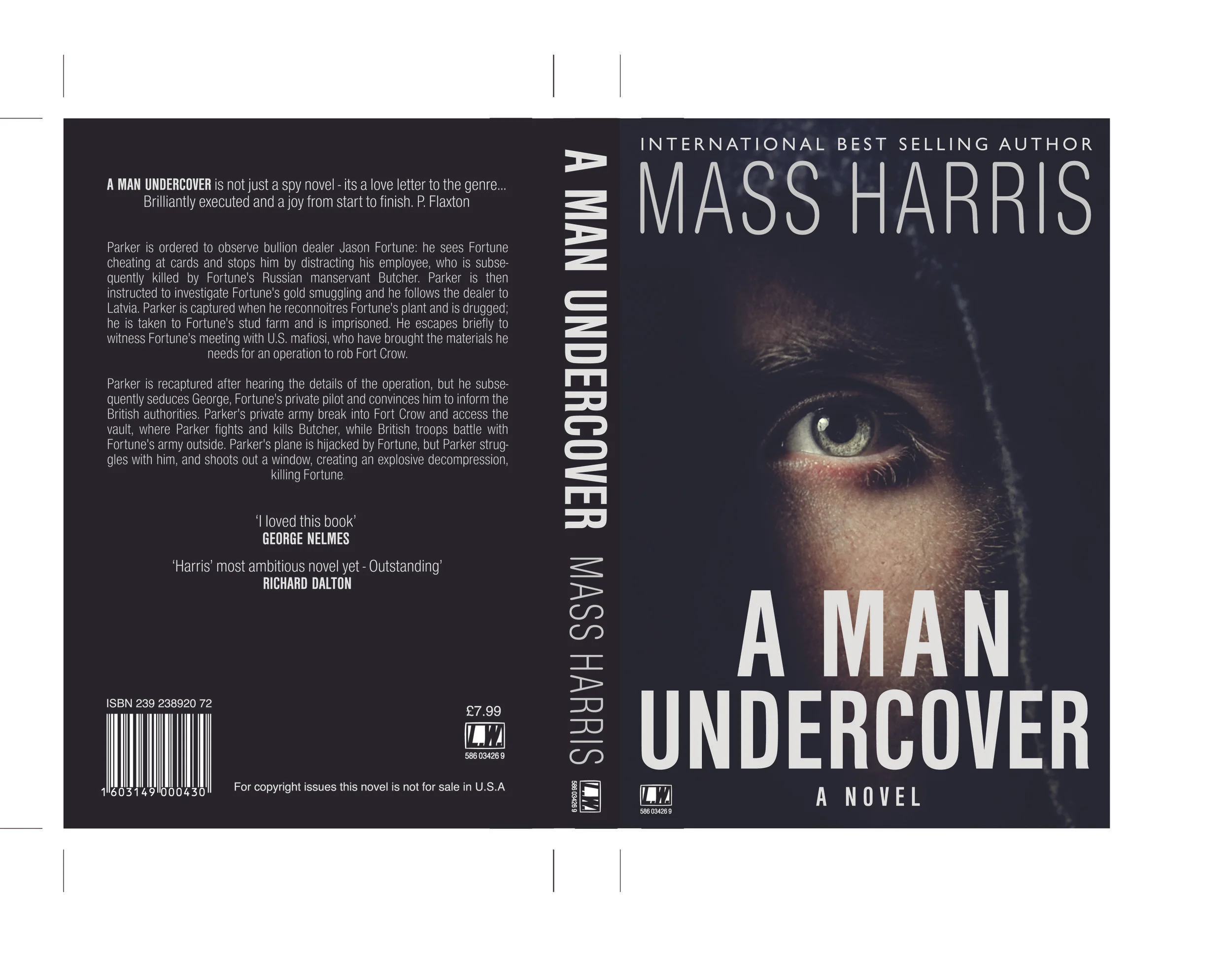 amanundercoverbook.jpg