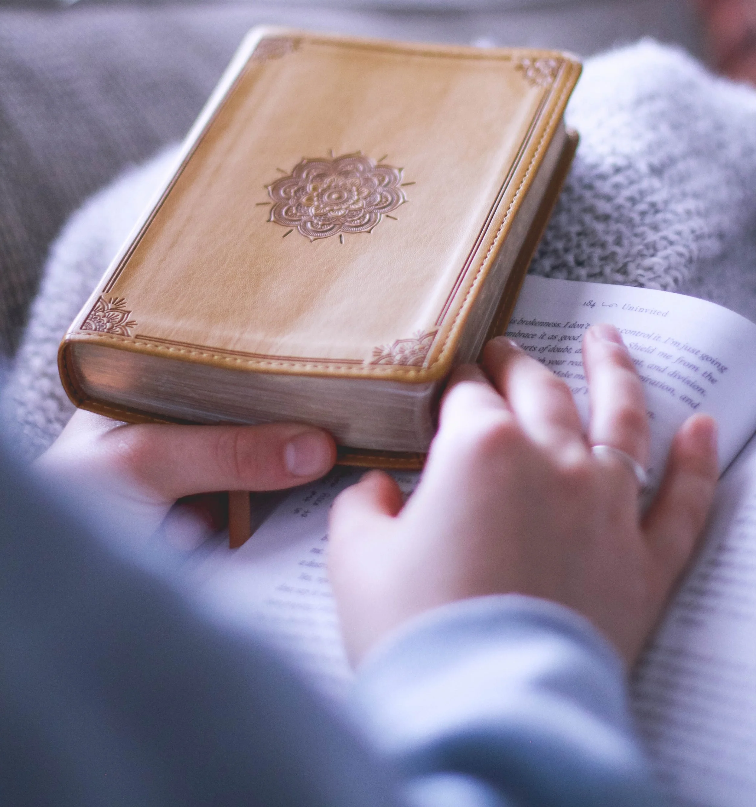 Beloved, Keep Reading