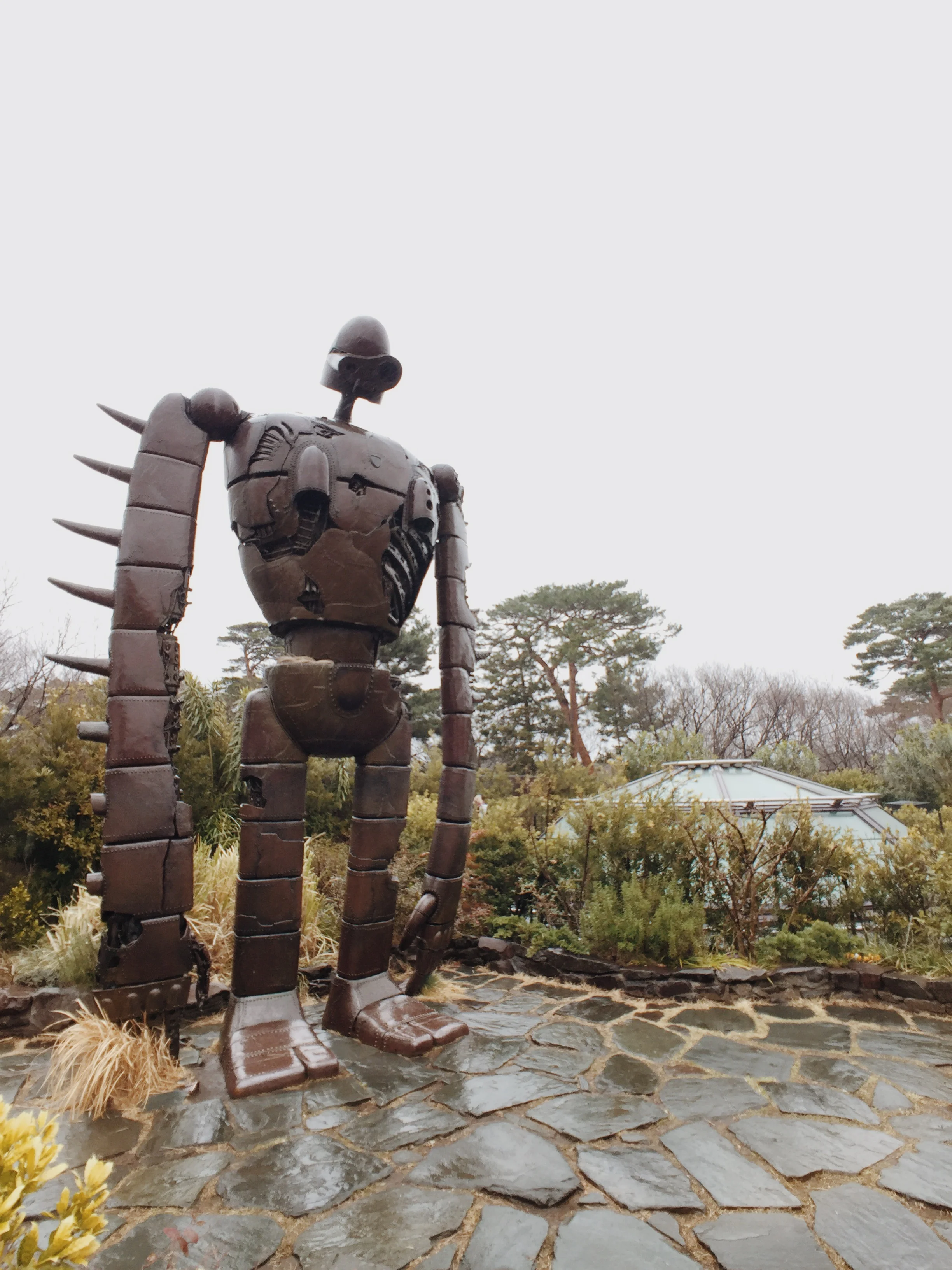 20180305_100527603_iOS.jpg