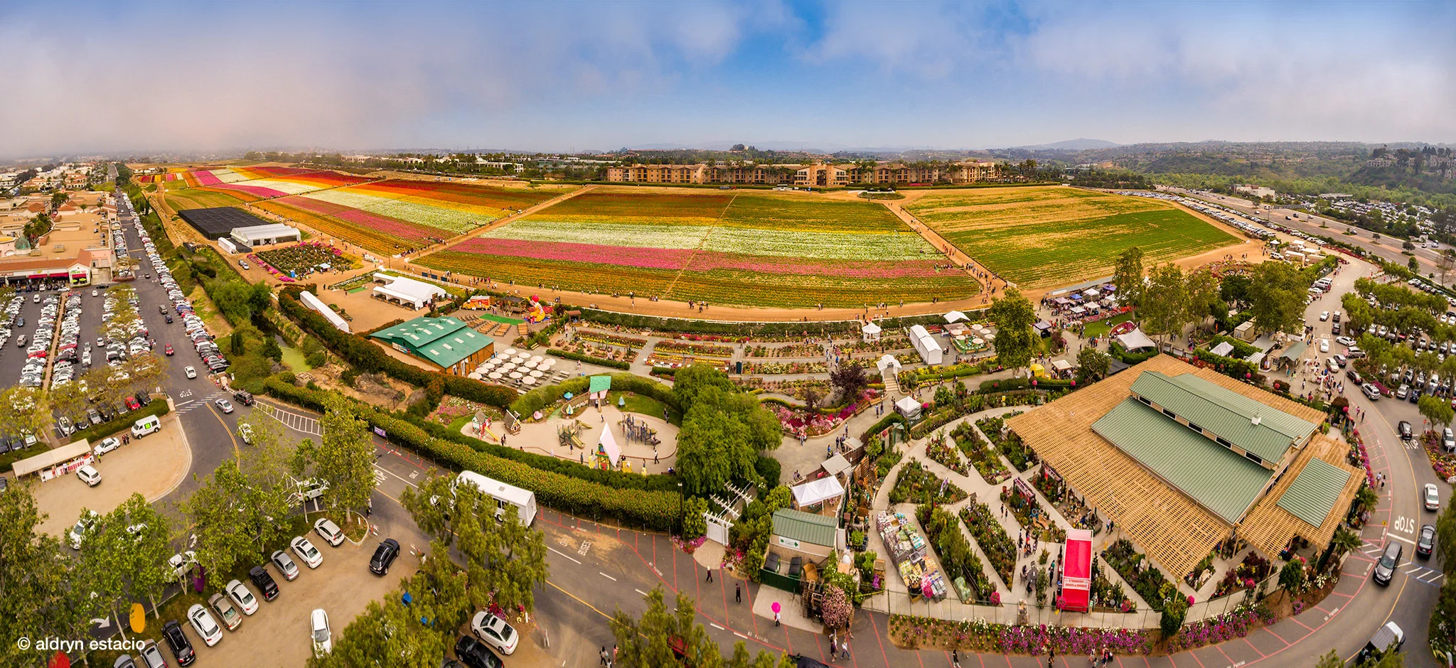 {The Flower Fields} Carlsbad, CA