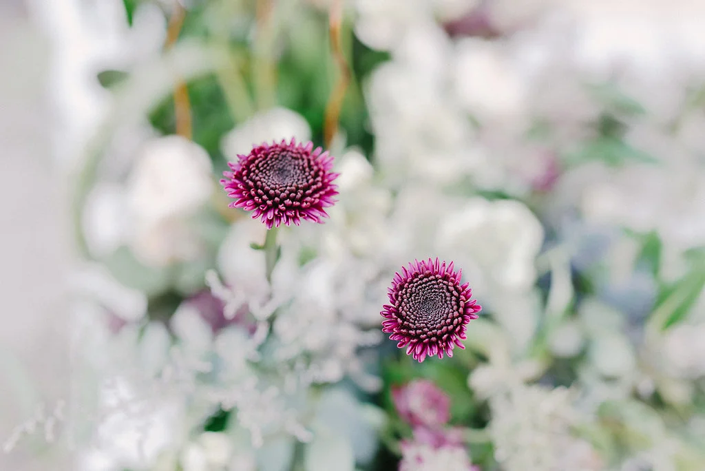 Plum&BabyBlue-1.jpg