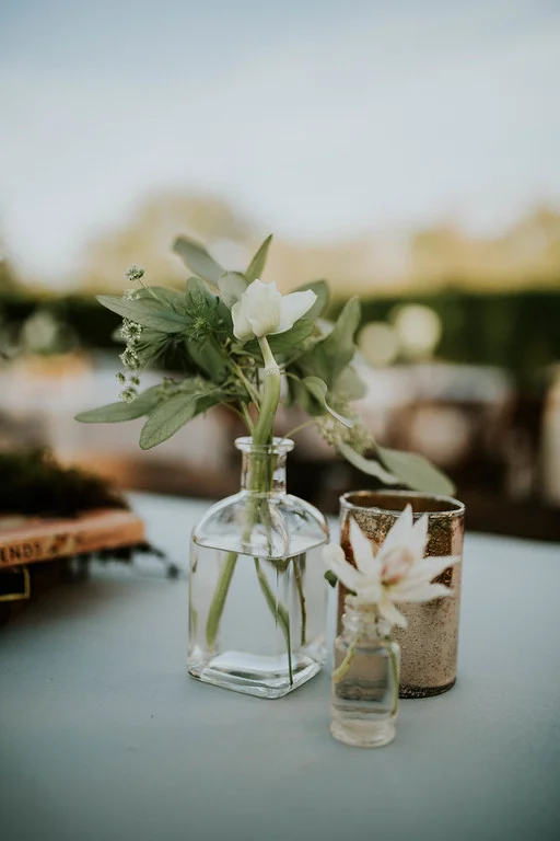 bud vases2.jpg