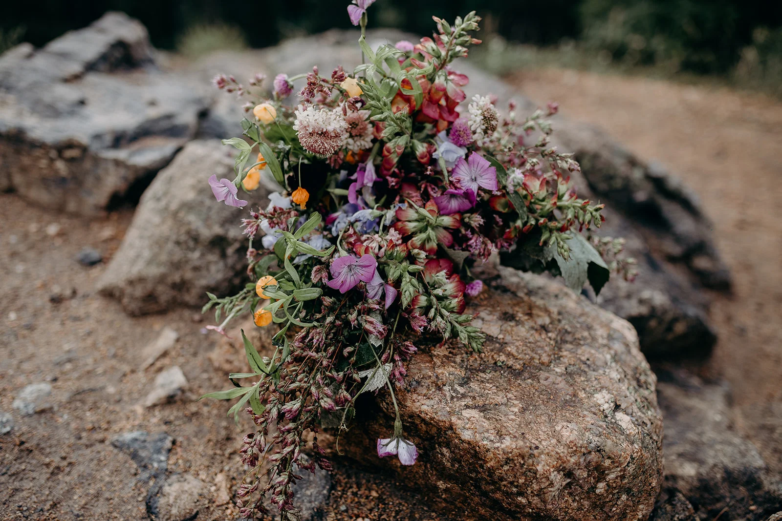 rocky mountain vow renewal-179.jpg