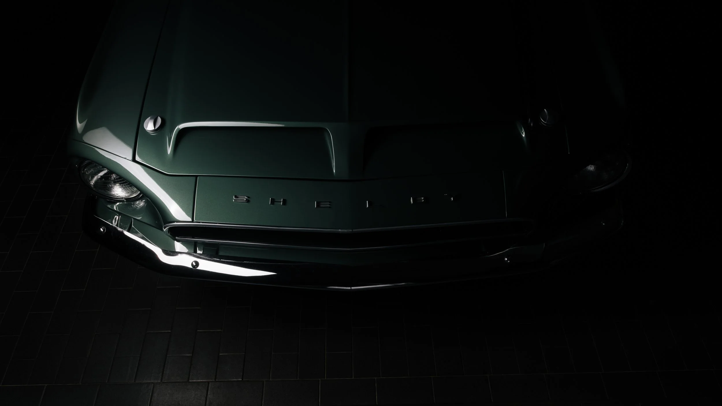 LYZC0300.jpg