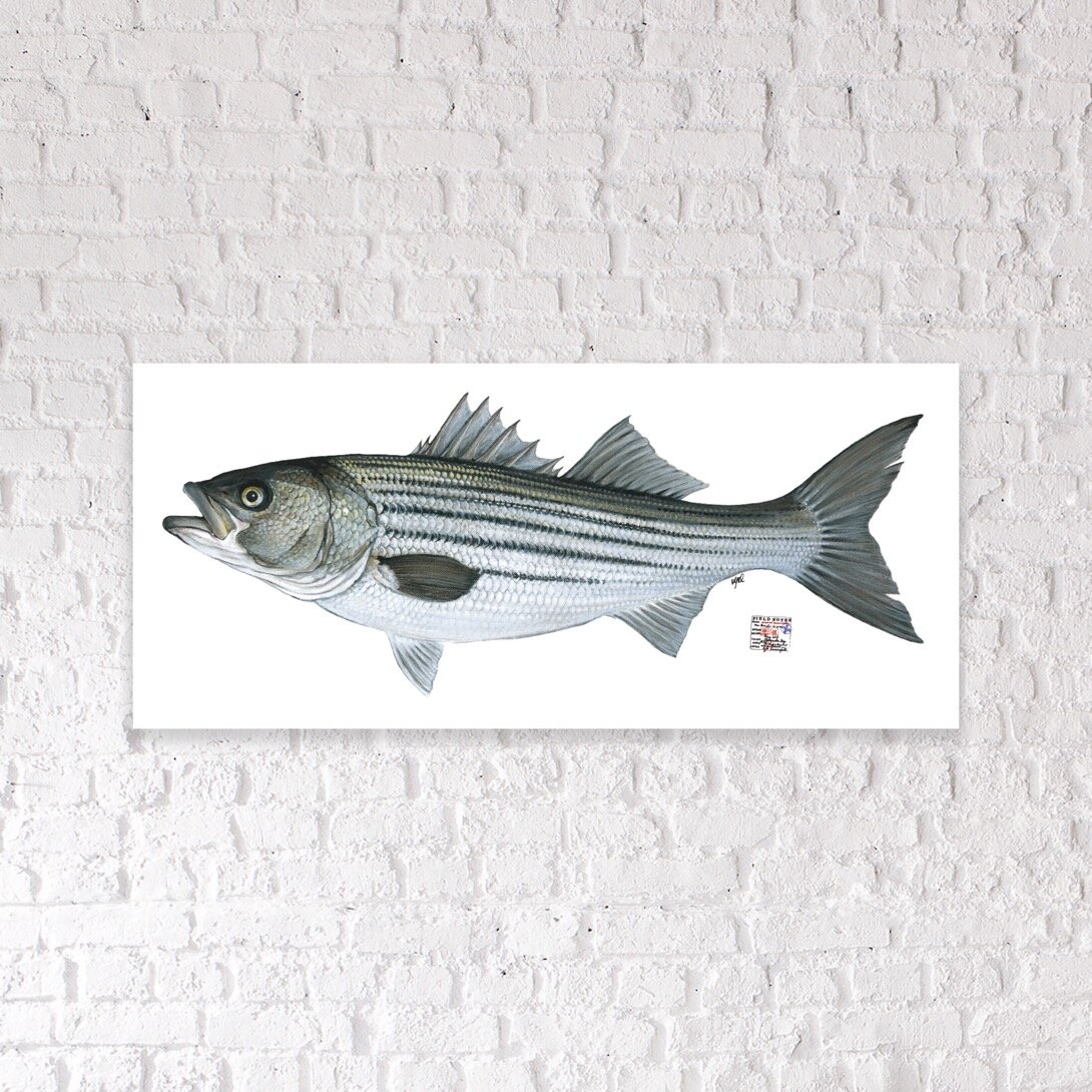 Fish Print Shop Life-Sized Prints