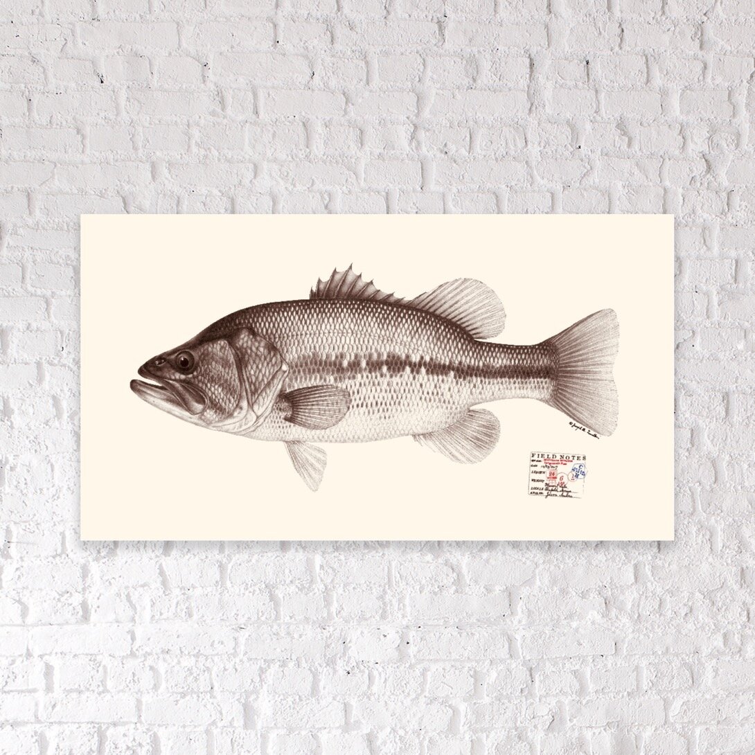 Snook Wall Art Print Birthday Fishing Gifts for a Saltwater