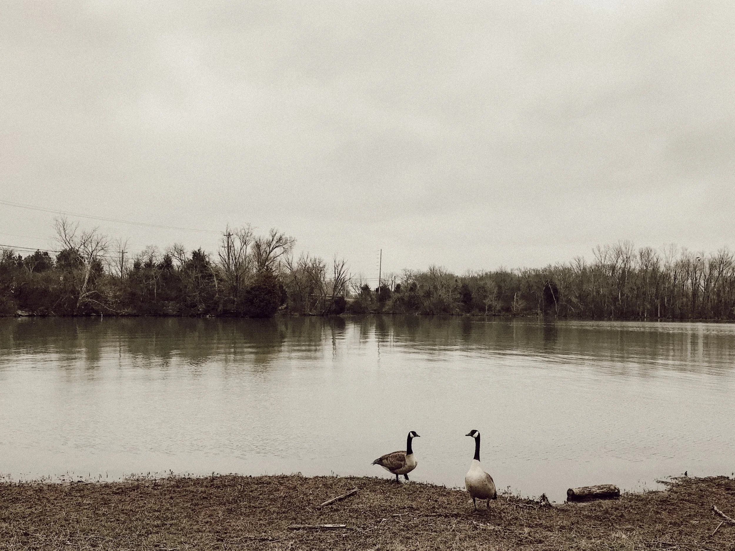IMG-5242.jpg