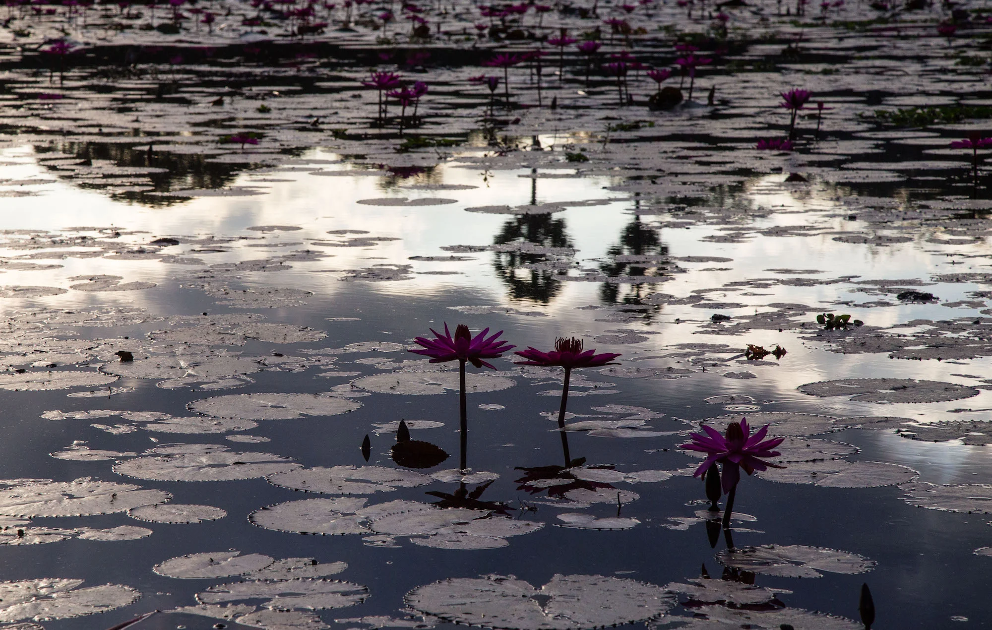 Decluttering my Mind with…Meditation