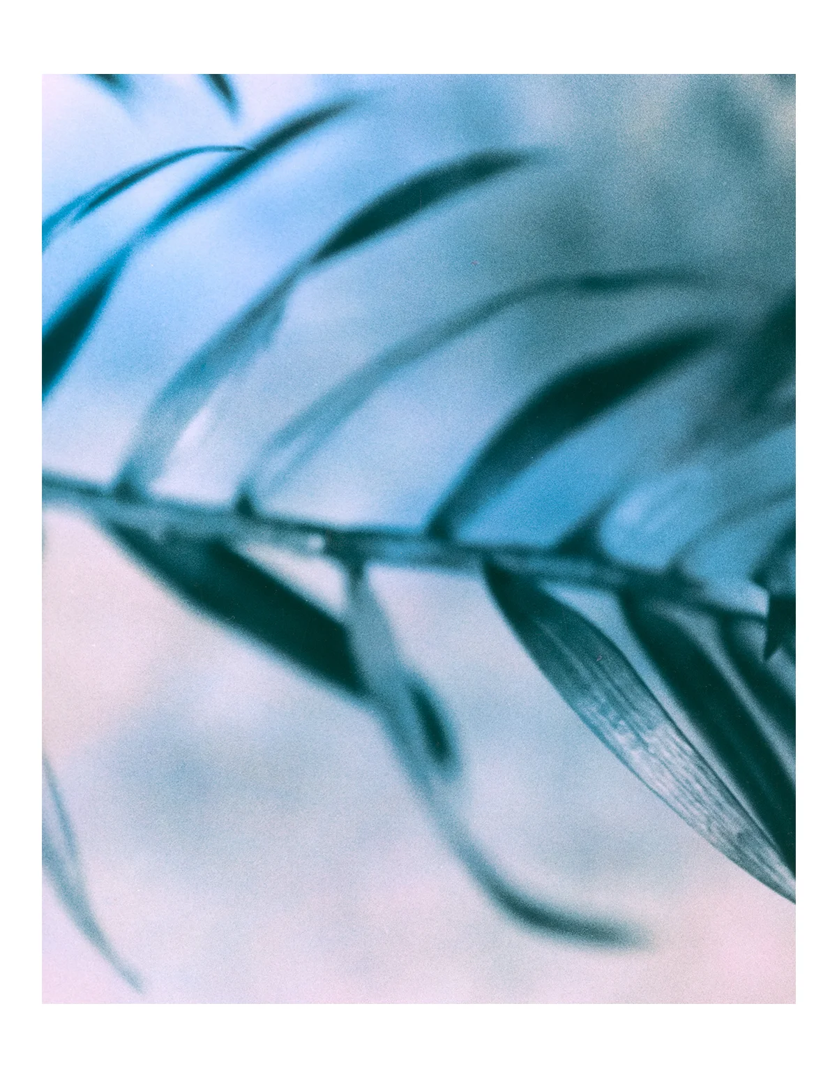 Blue branch diptych (left side) 