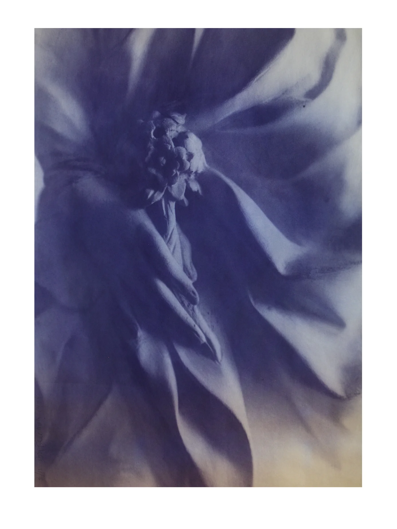 Blueprint Statue detail (hand with flower)