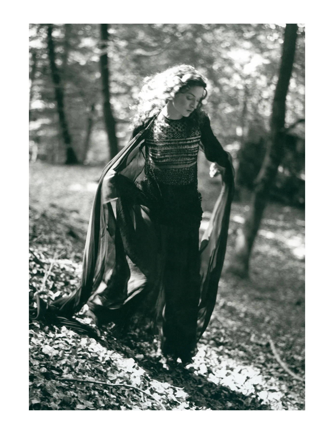 Teresa (foret Fontainbleau)