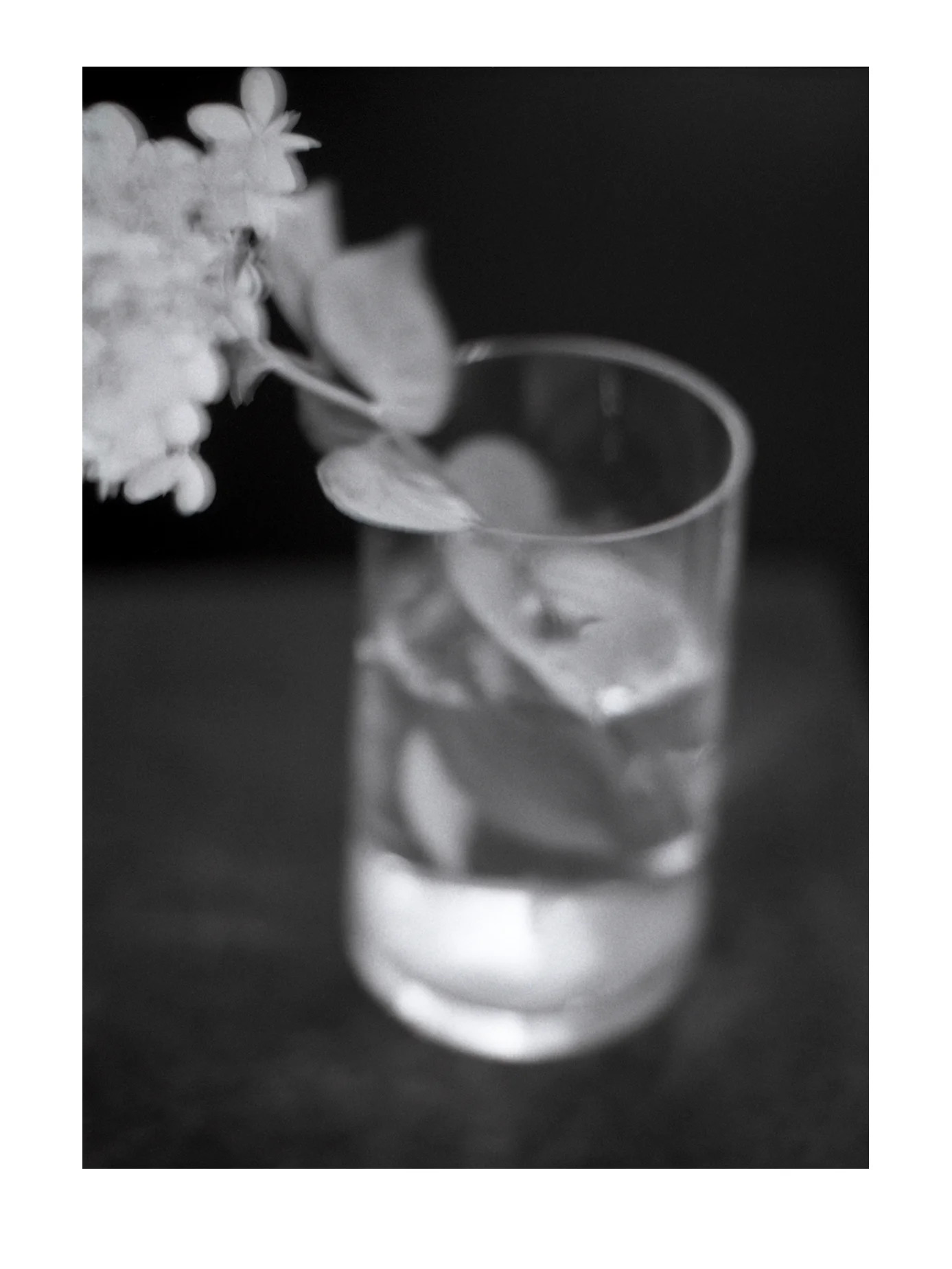 Water glass with Hydrangea