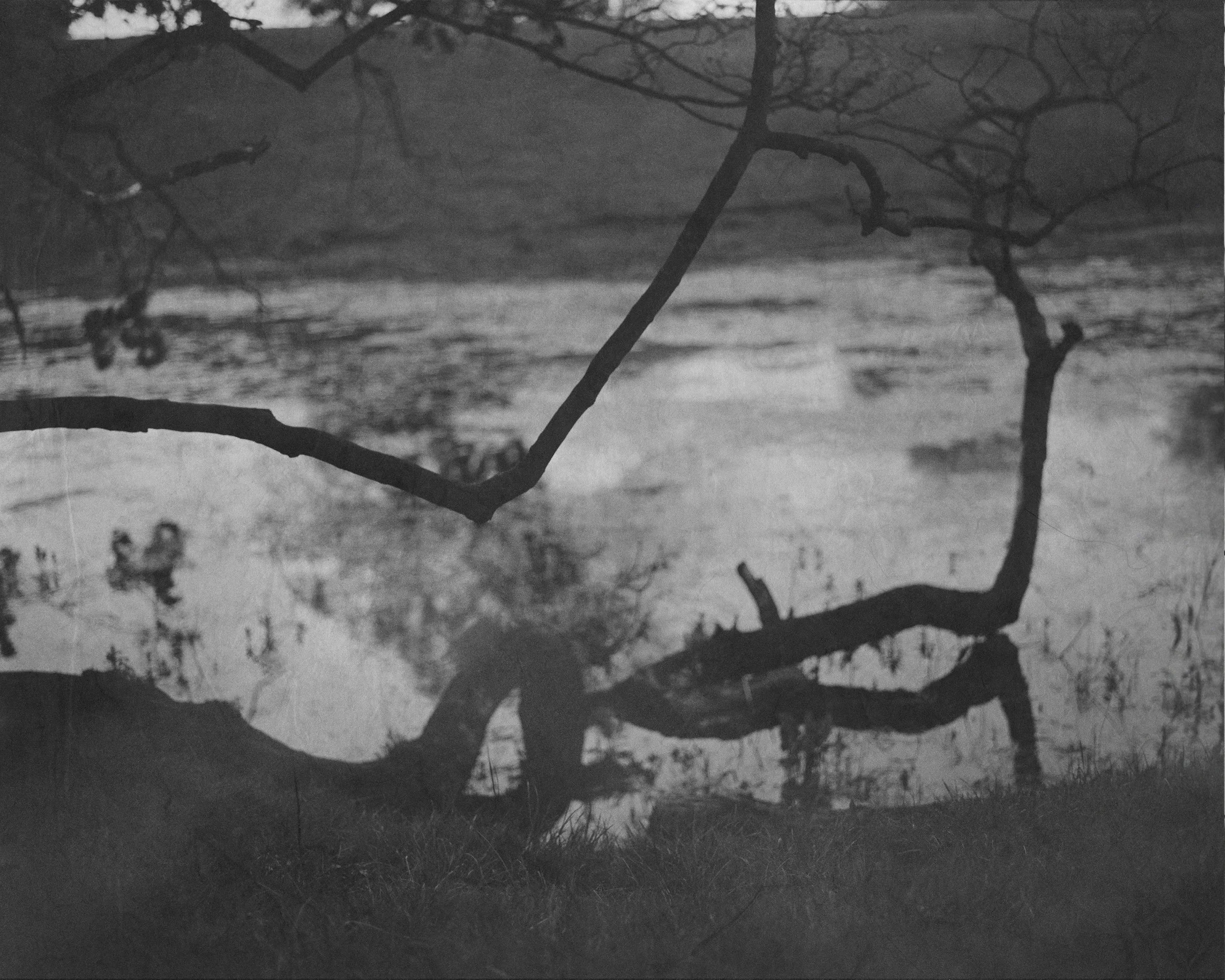 Web_MoonlitLake2.jpg