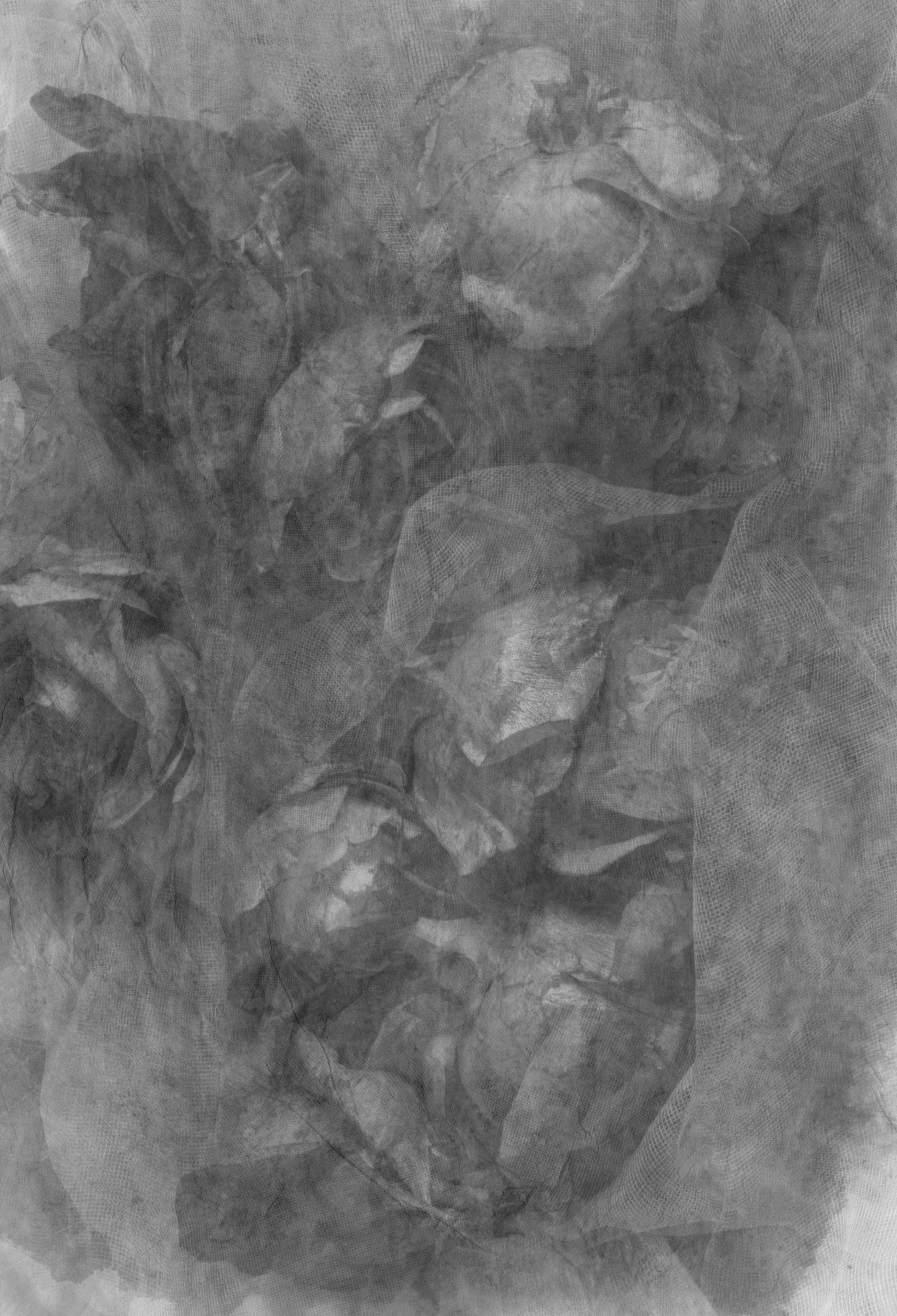 Baudelaire Roses 7