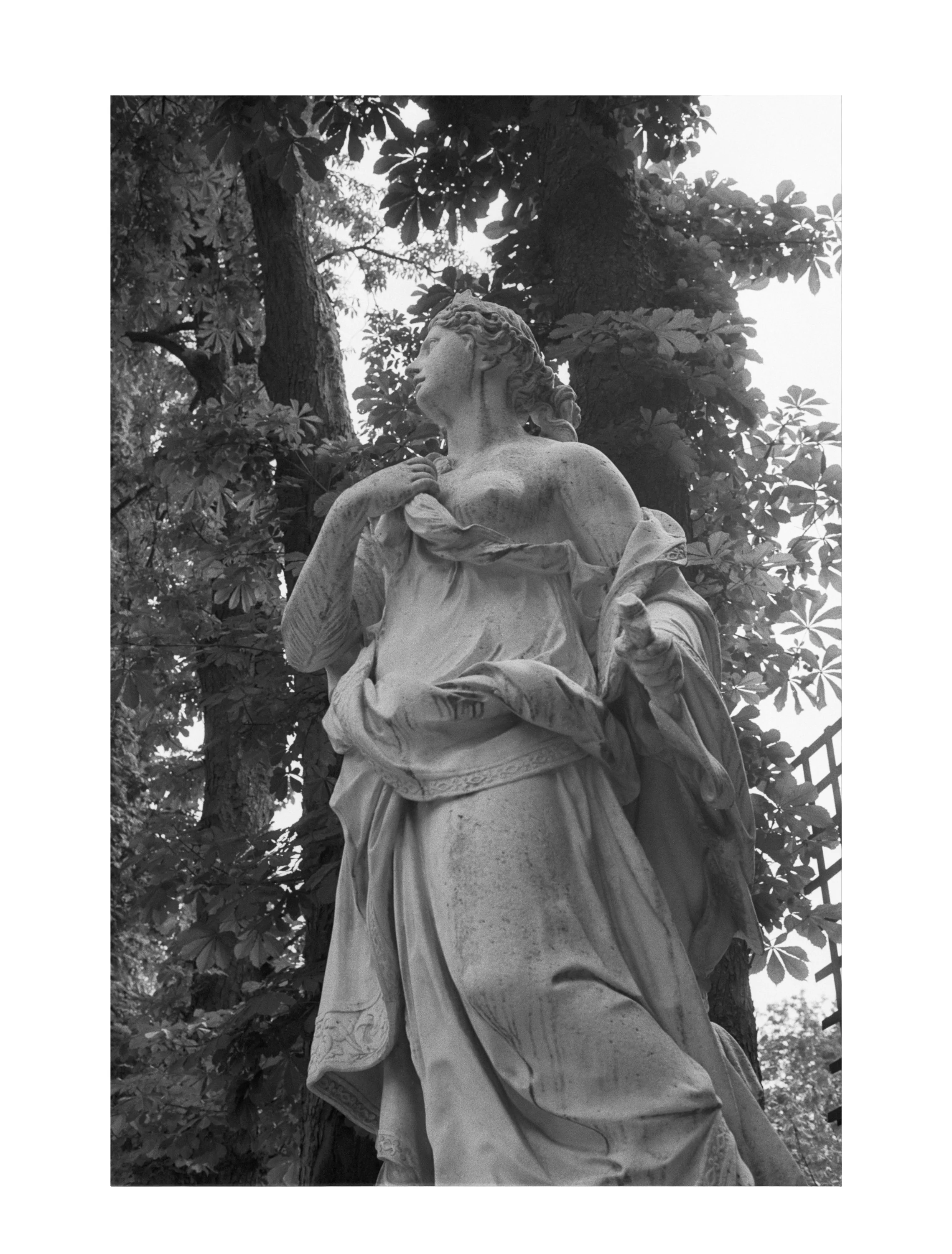 Garden of Versailles #14   $275
