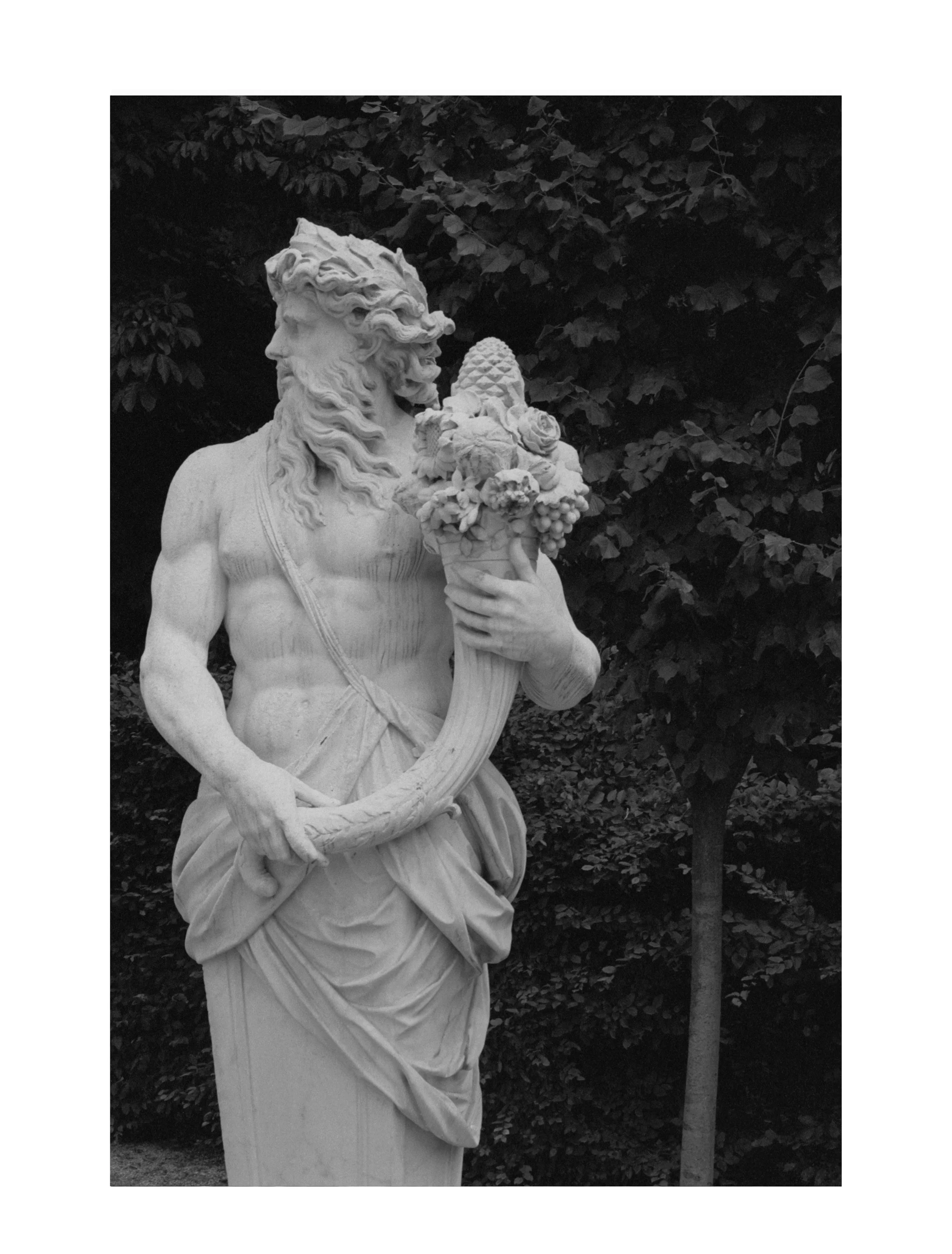 Garden of Versailles #12   $275 