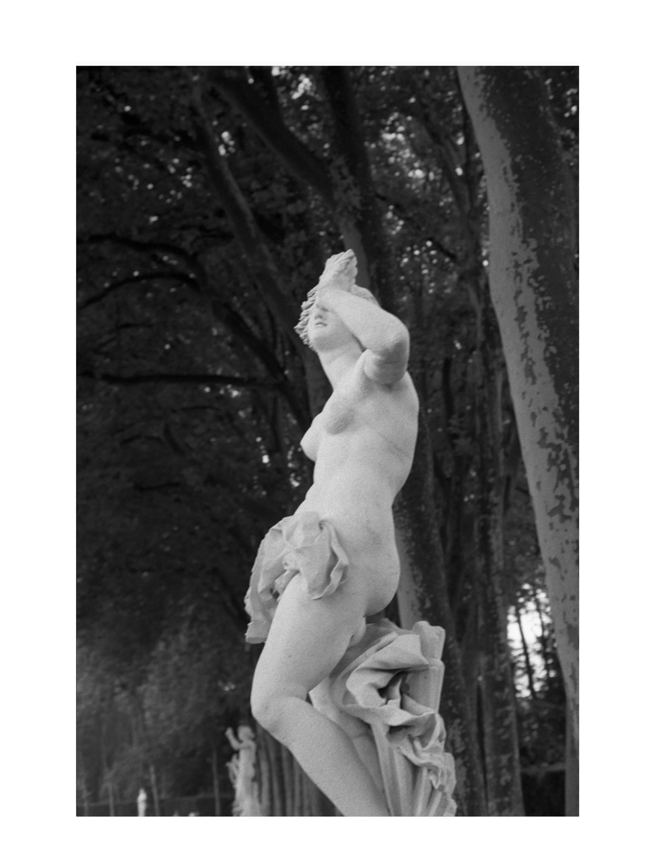 Garden of Versailles #8  $275