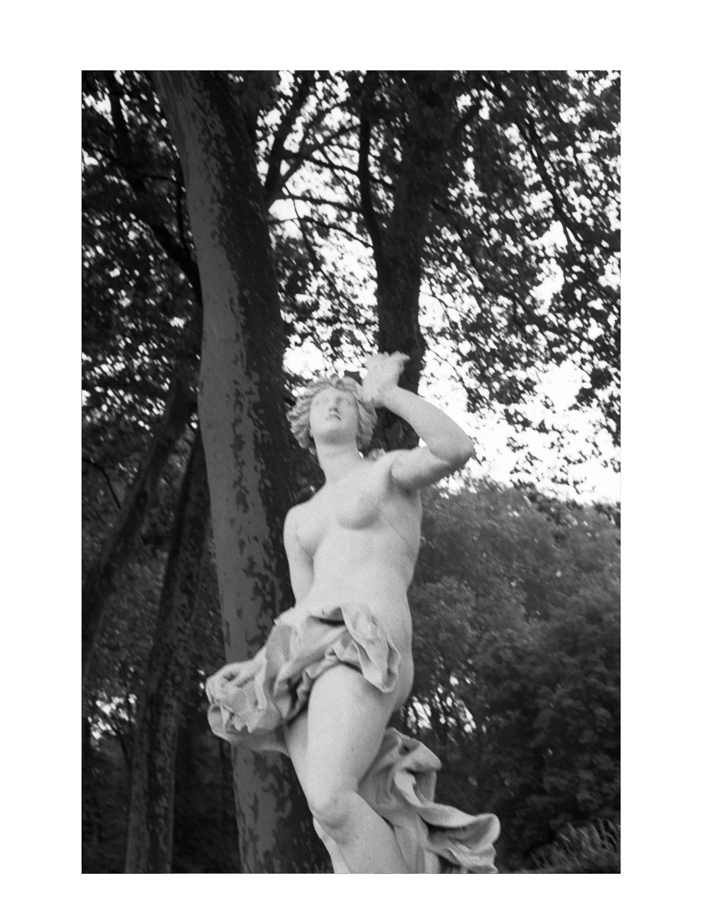 Garden of Versailles #3  $275