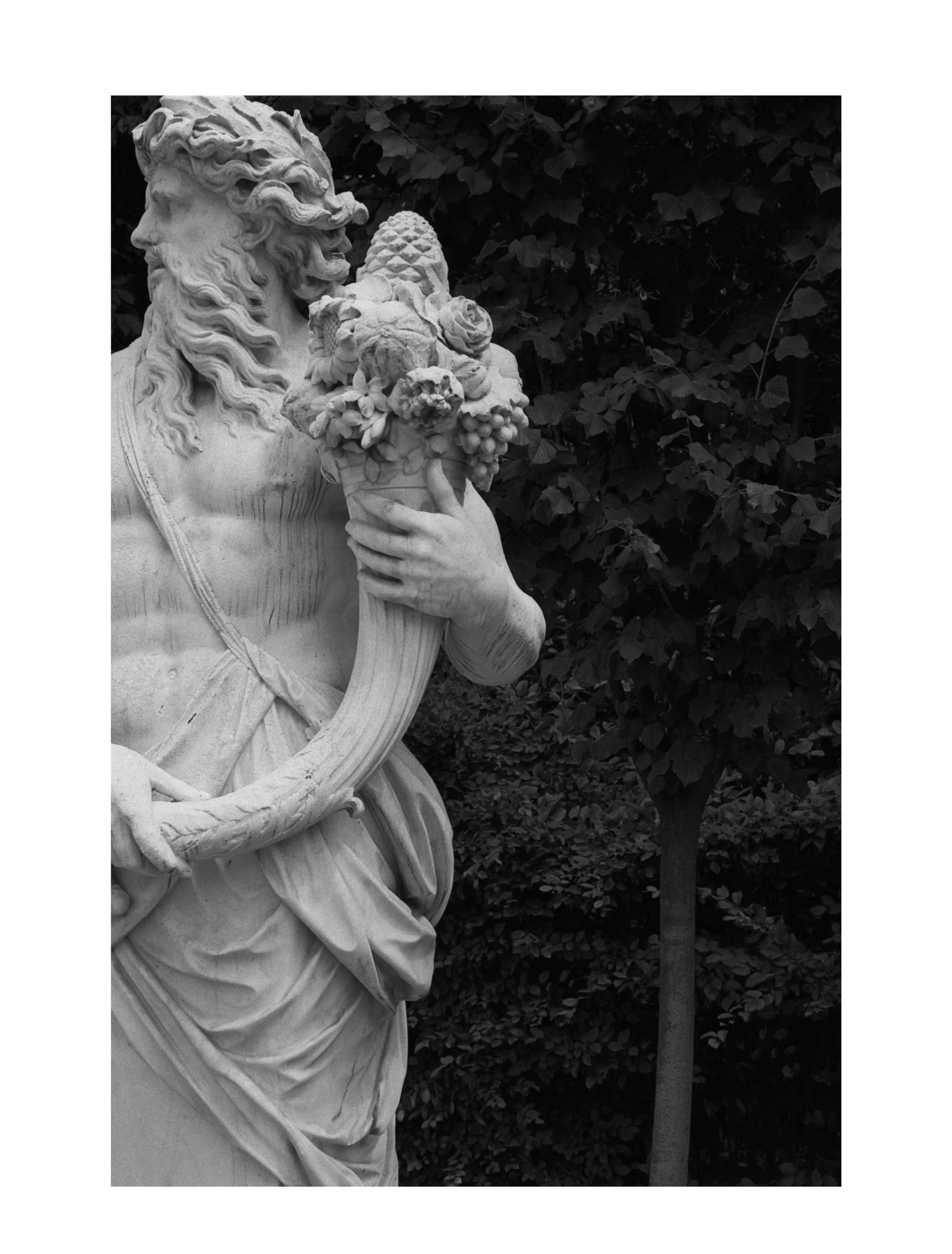 Garden of Versailles #2  $275