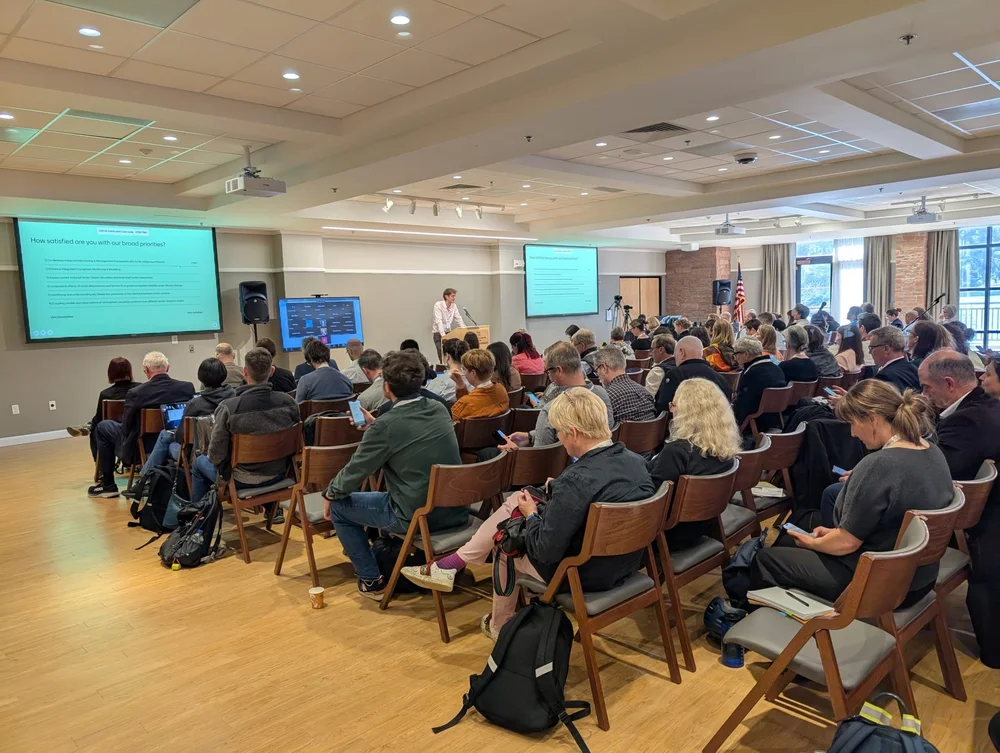 WhatsApp Image 2025-03-26 at 00.49.30.jpeg