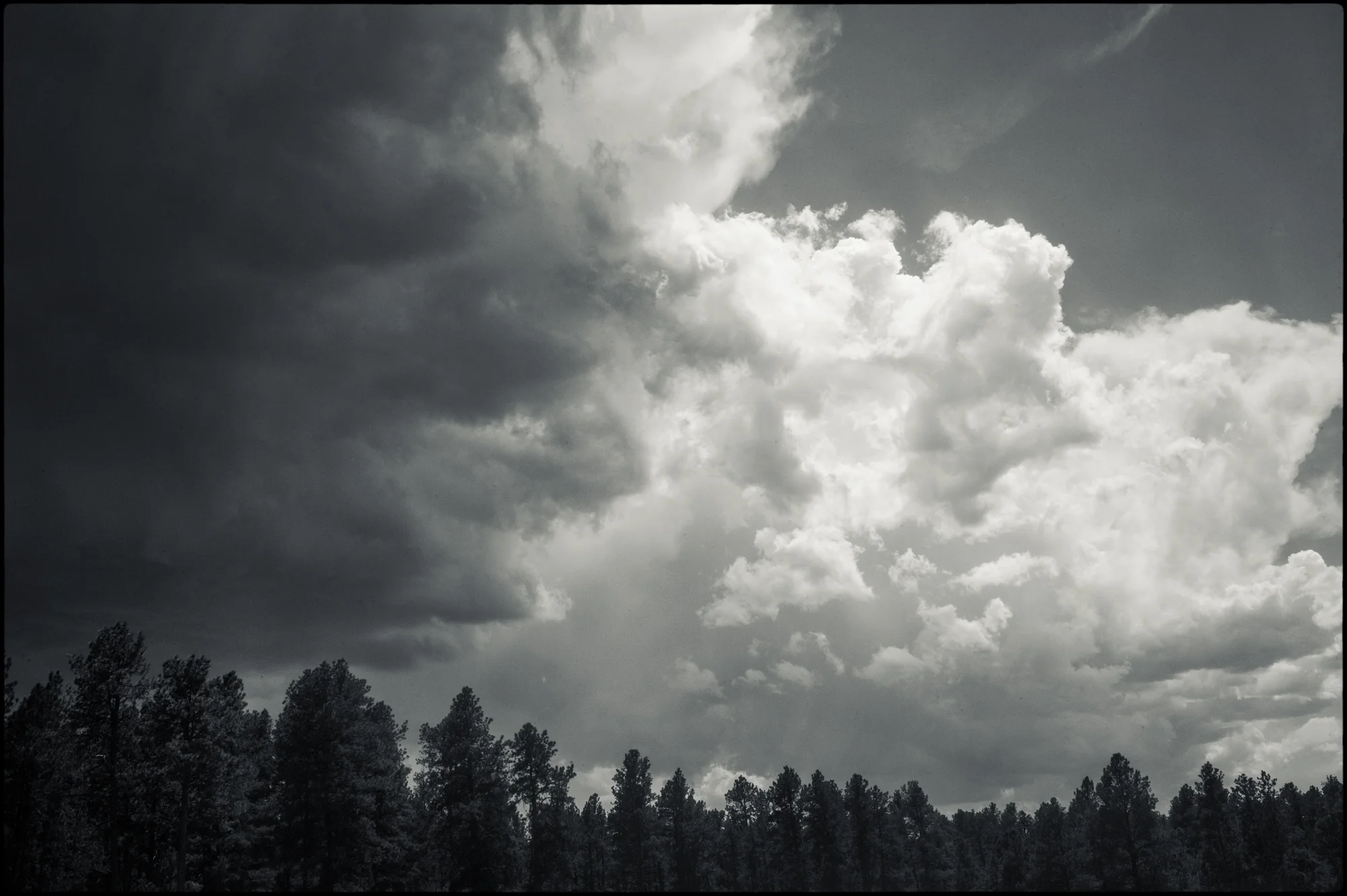 colorado