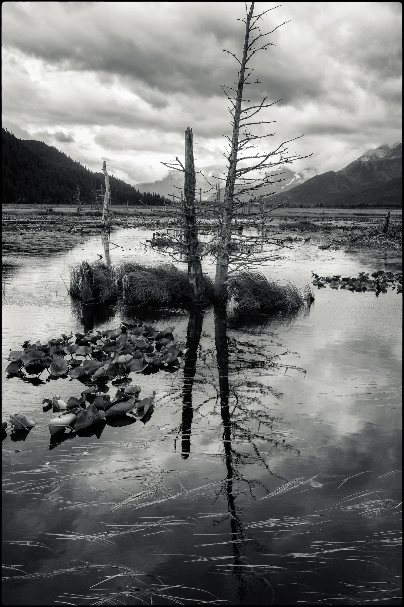 alaska