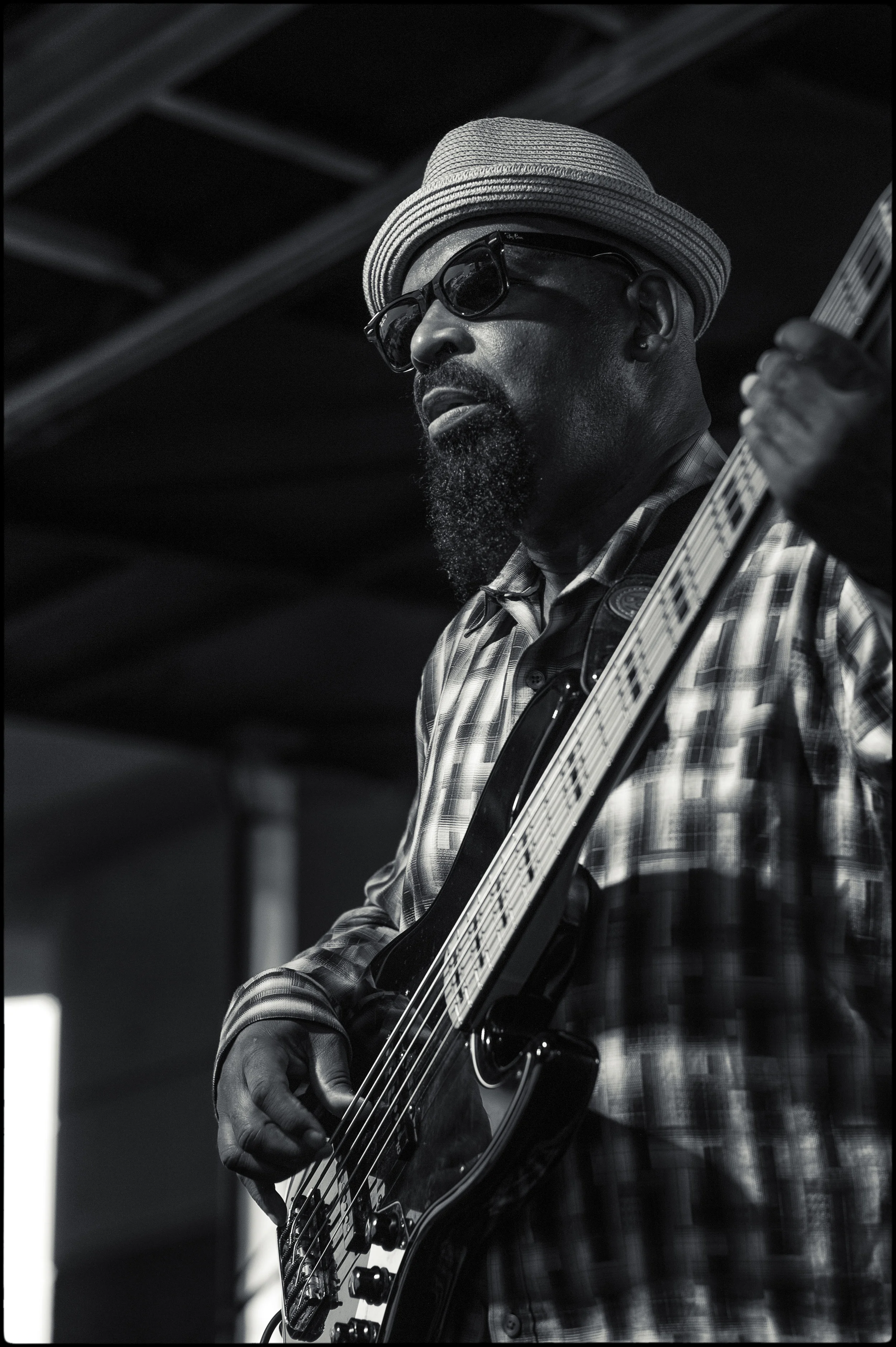 selwyn birchwood