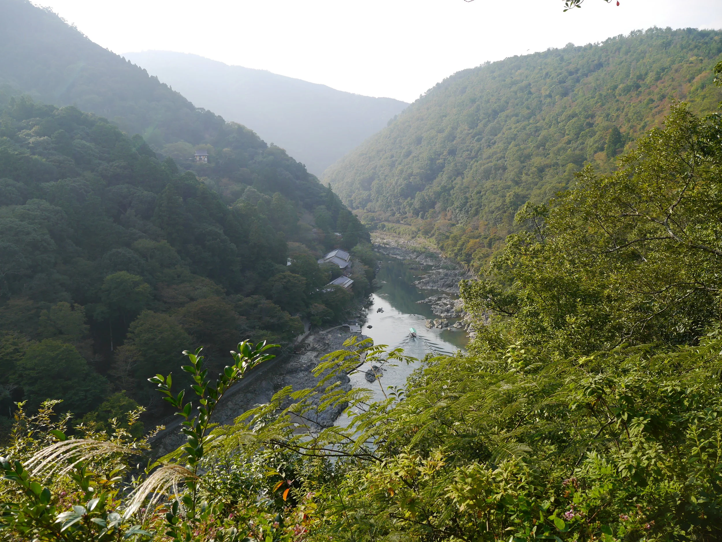 P1020206.jpg