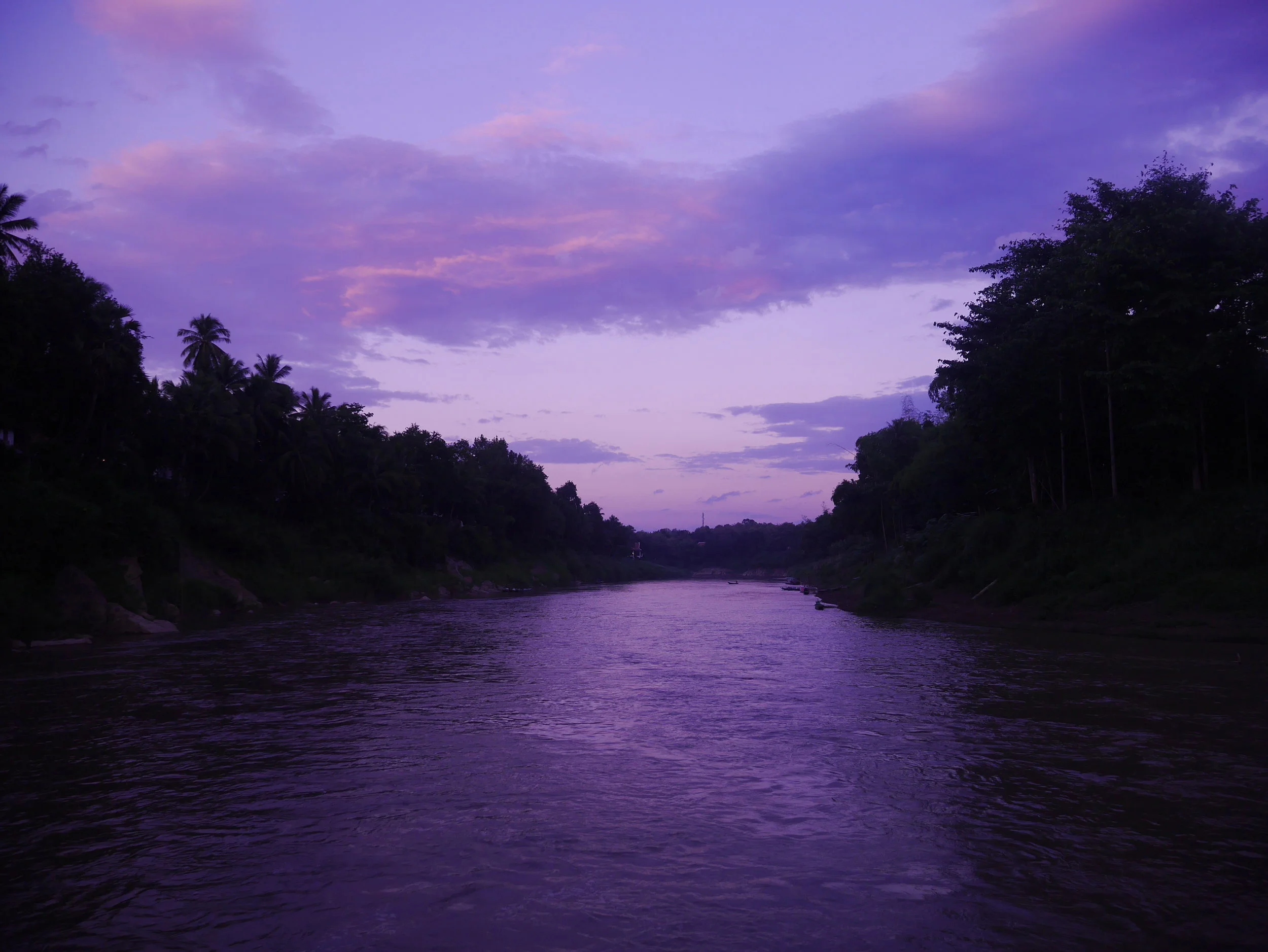 P1030616.jpg